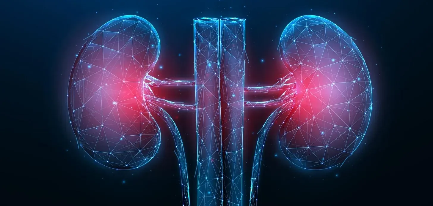 Understanding Creatinine and eGFR 