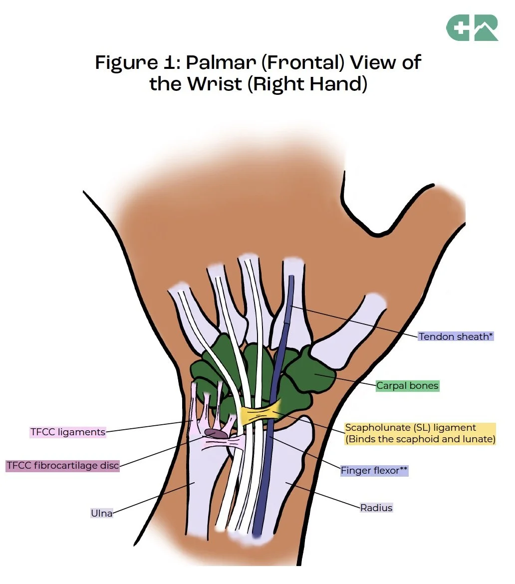 wrist injury guide picture.jpg