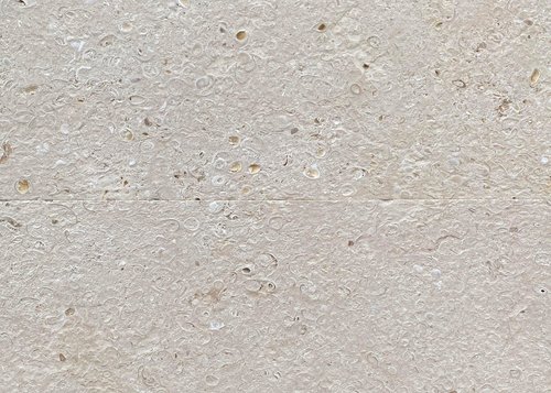 Washed Shellstone Exterior Pavers | Transform Outdoors Today — KW STONE GROUP