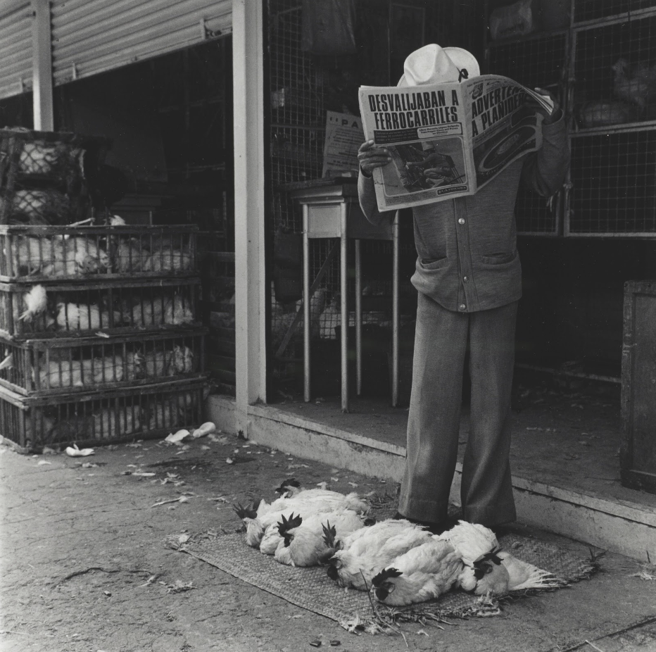 Visual Clarity and Emotional Ambiguity: Graciela Iturbide’s Mercado de Sonora, 1987
