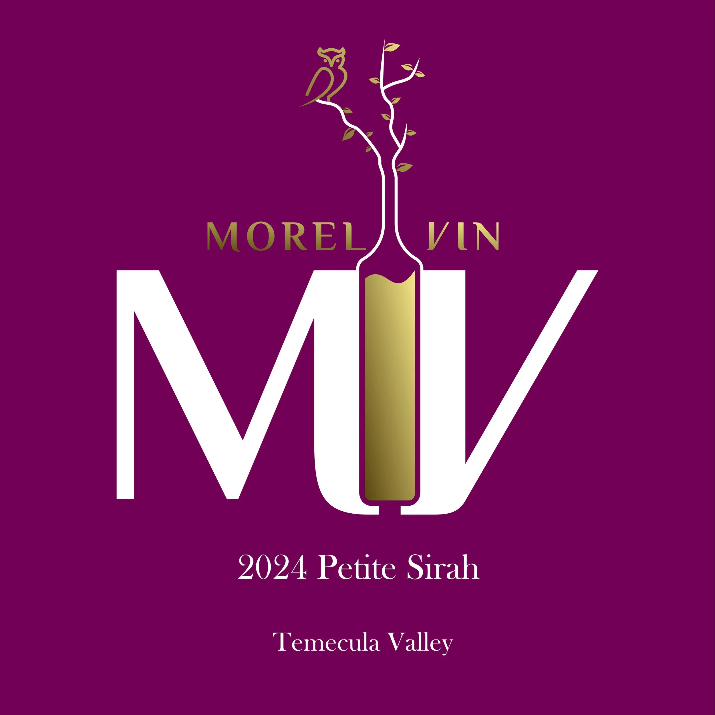 Morel_Vin_Petite_2024.jpg