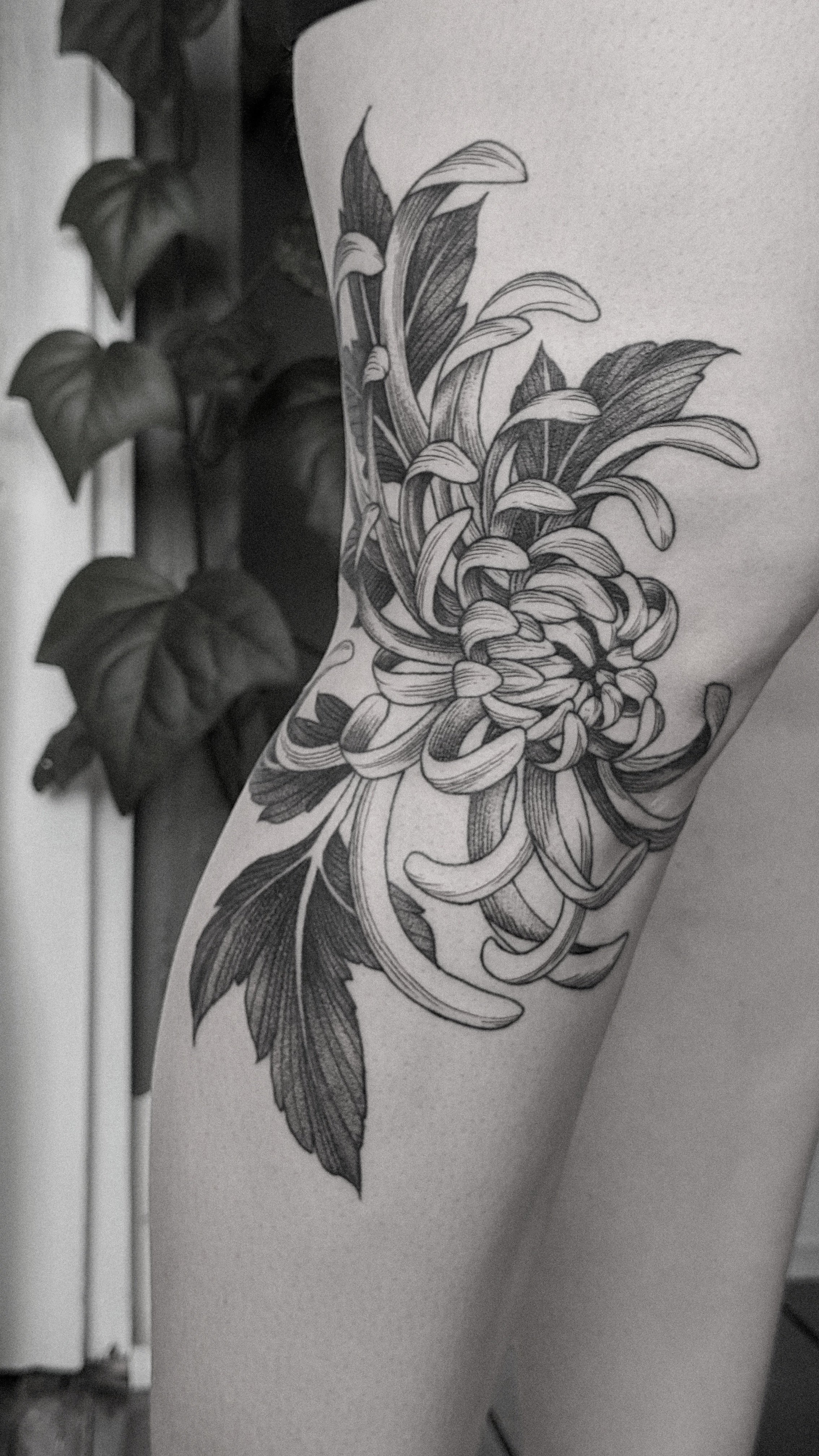 A detailed black and gray tattoo of a large chrysanthemum flower with leaves on the knee ditch