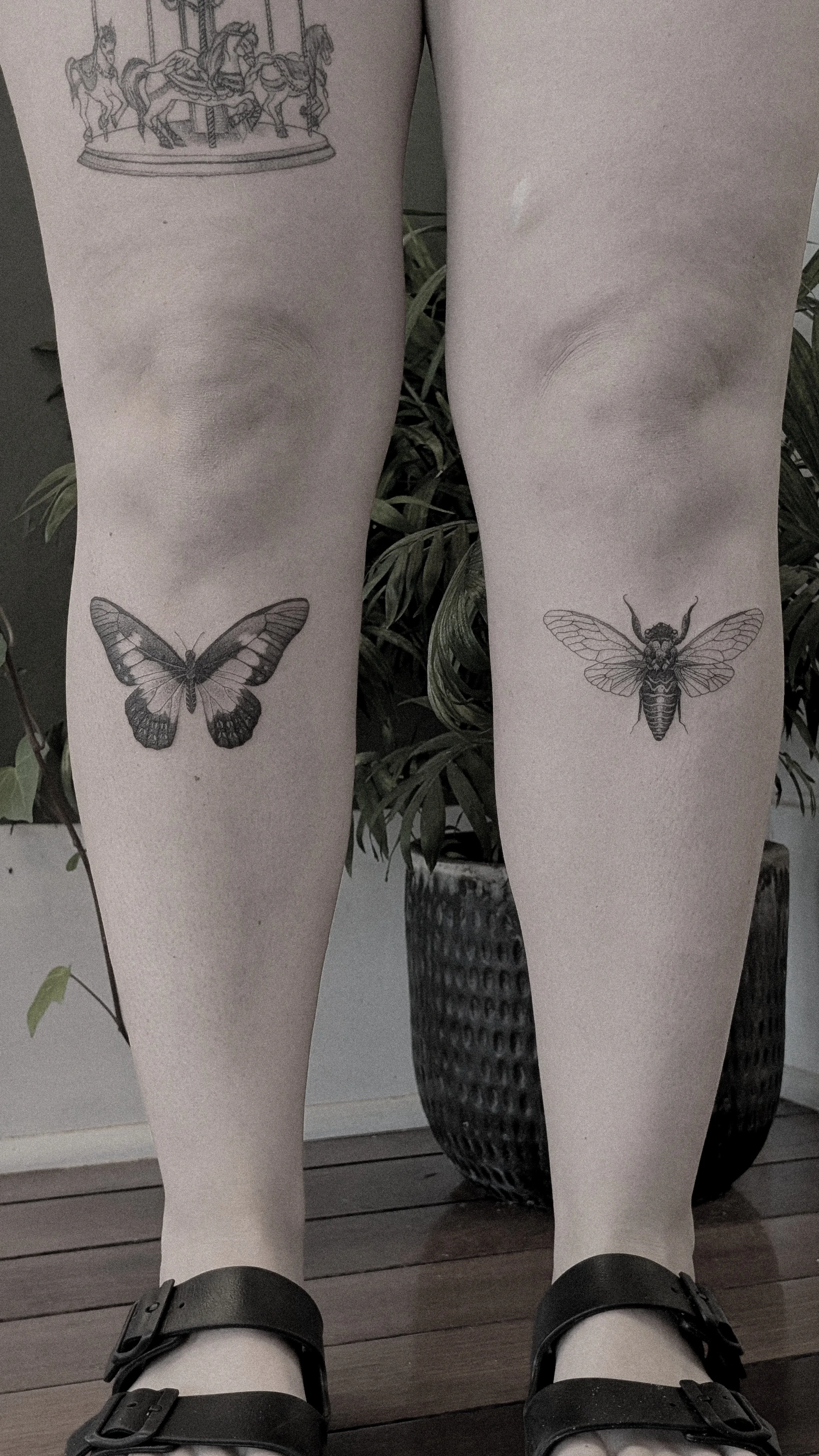 Black and grey tattoos butterfly and cicada tattoos positioned under the knee