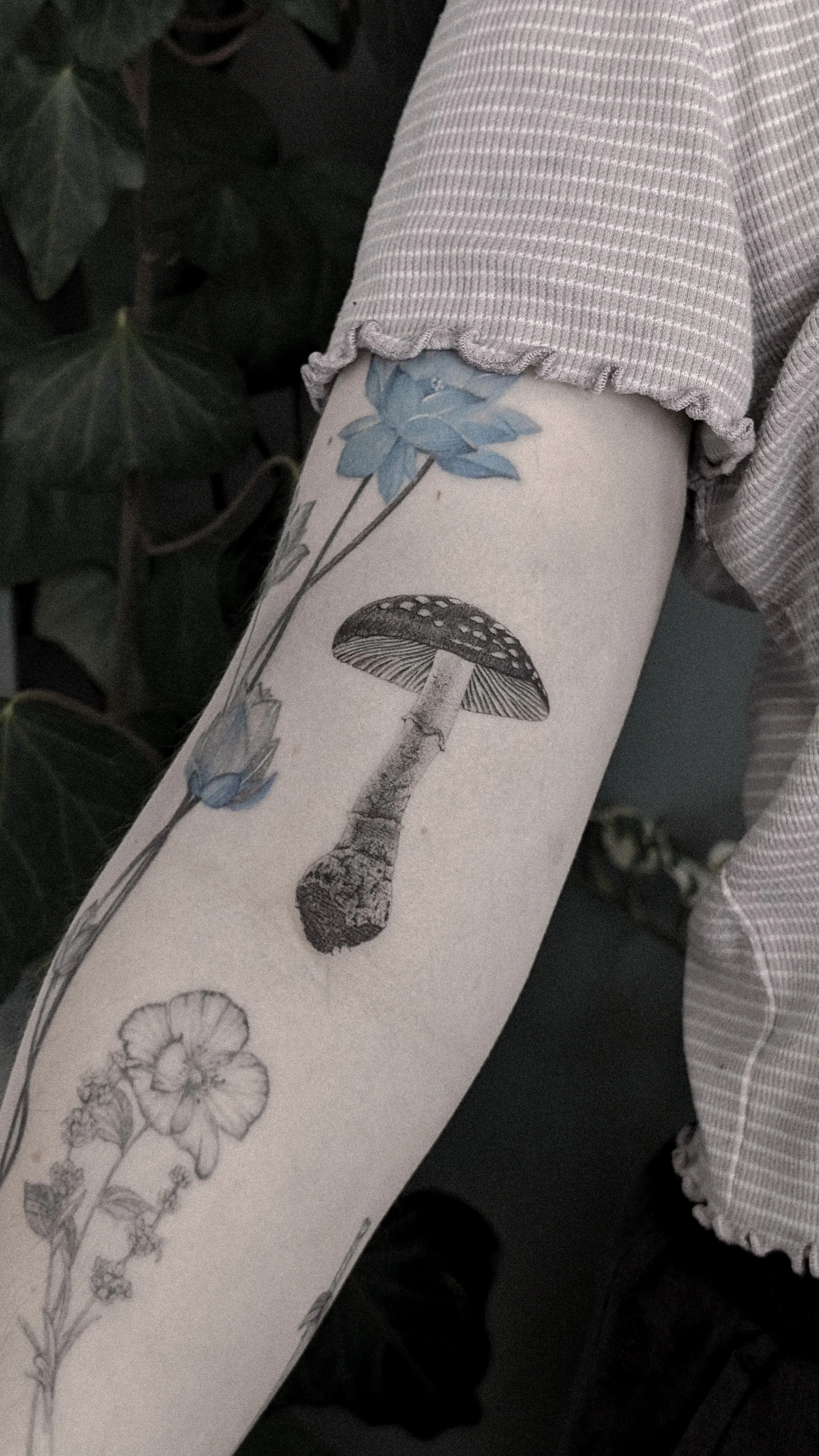 A realistic poisonous mushroom tattoo on person's arm.