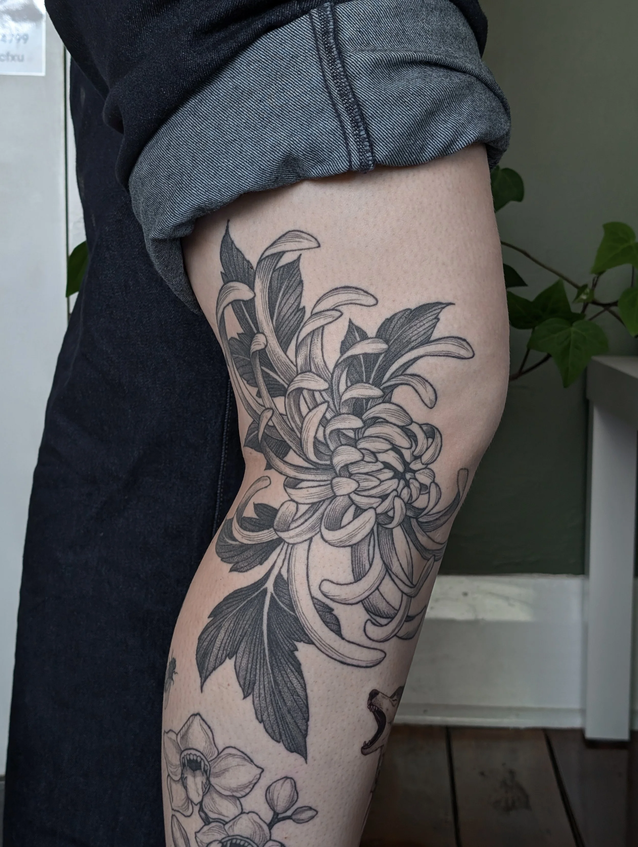 Healed Chrysanthemum Tattoo 16 months.jpg
