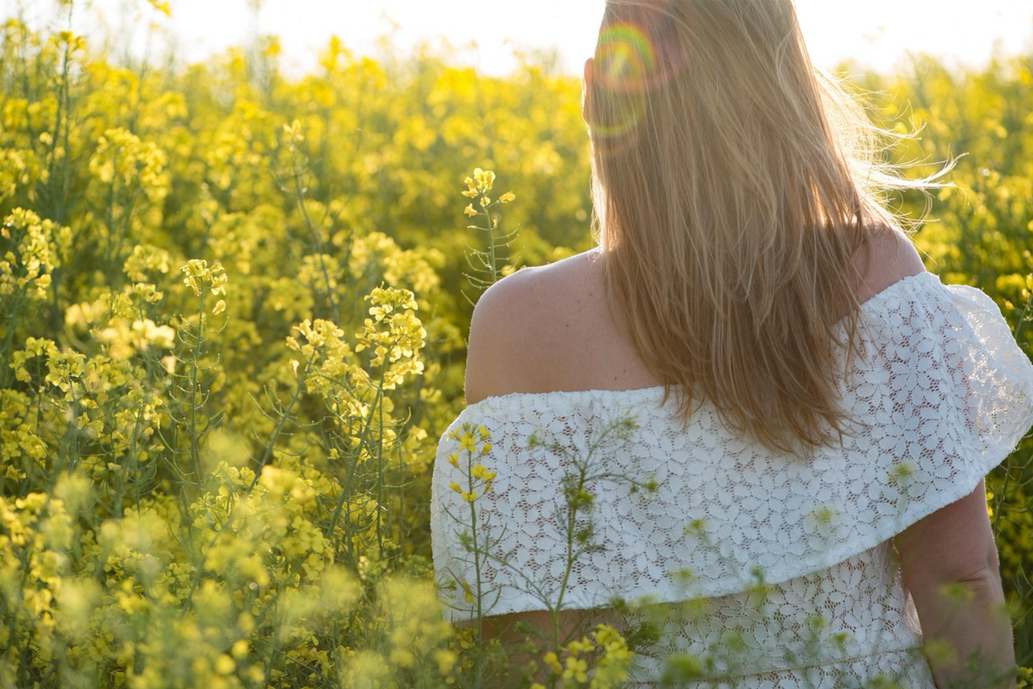 The Overloaded Soul: When the World Distracts Us from What We Truly Need