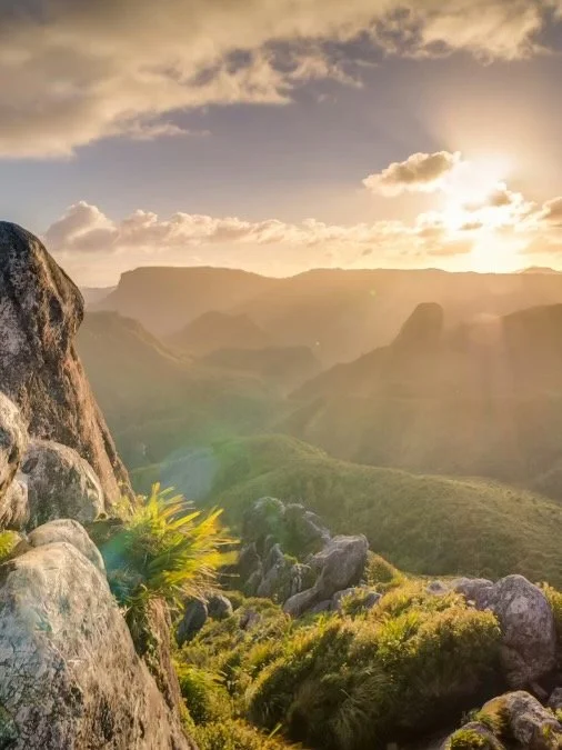 Purposeful Living in a World of More