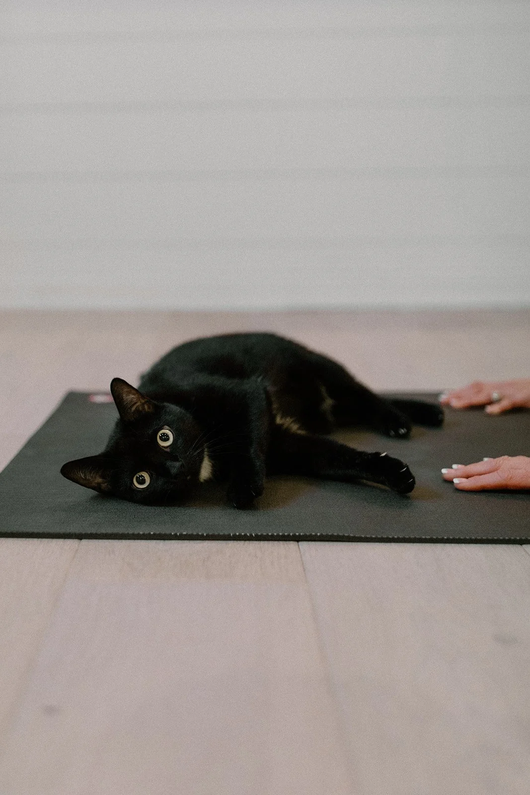 Inner Glow Wellness-024_websize.jpg