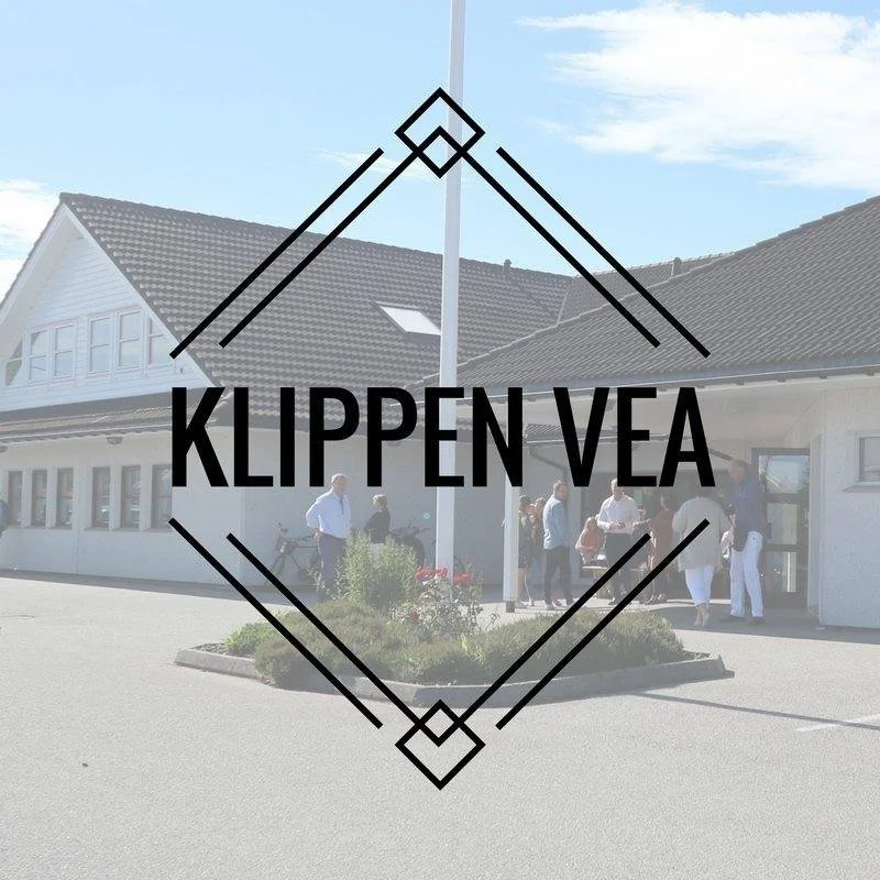 Ungdomsleder i Klippen Vea 50%