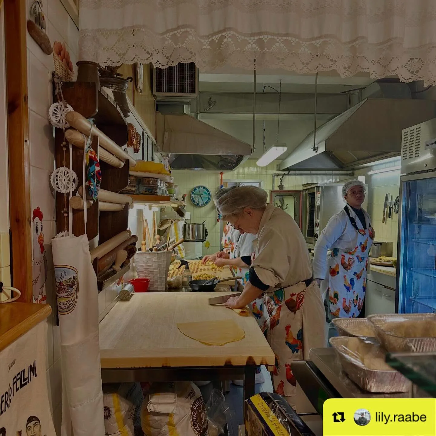 Repost from @lily.raabe
&bull;
Day trip to Bologna with @chloervin featuring a food tour by the wonderful @viaemiliachef !! @tastebologna @lesfogline #bolognafoodtour #emiliaromagna #pasta #salumi #gelato #lasagne