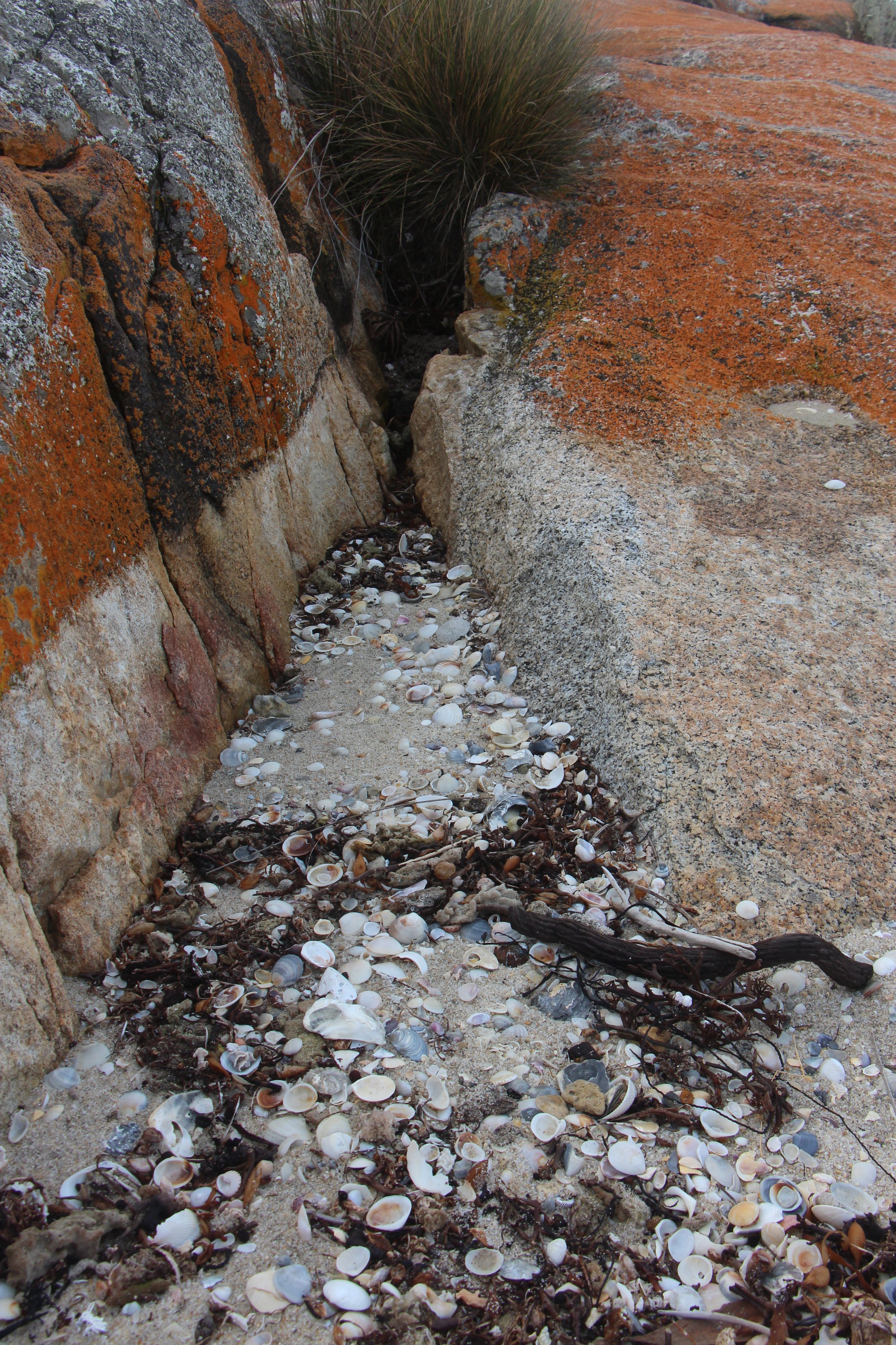 Flinders Island beaches