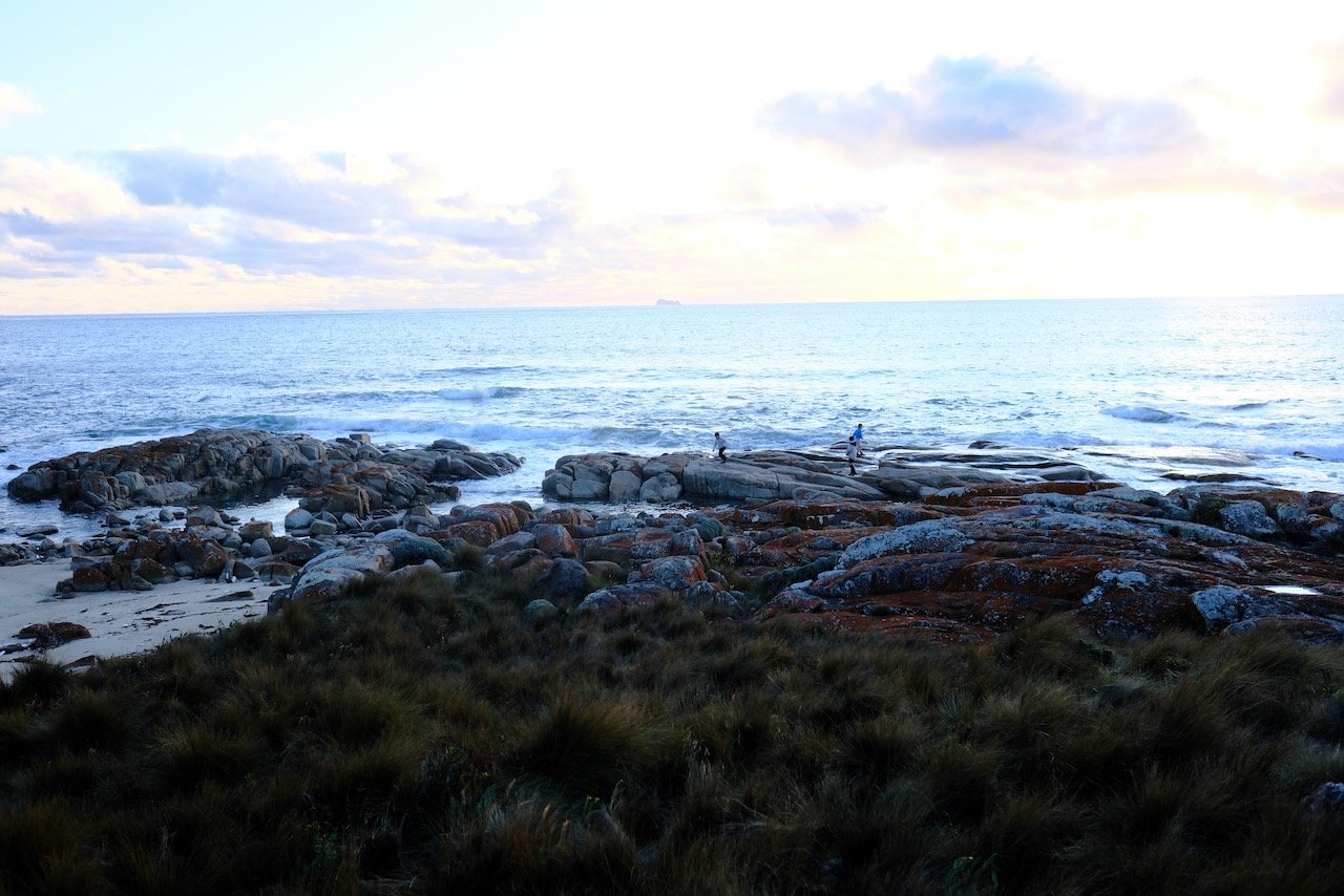 Flinders island activities
