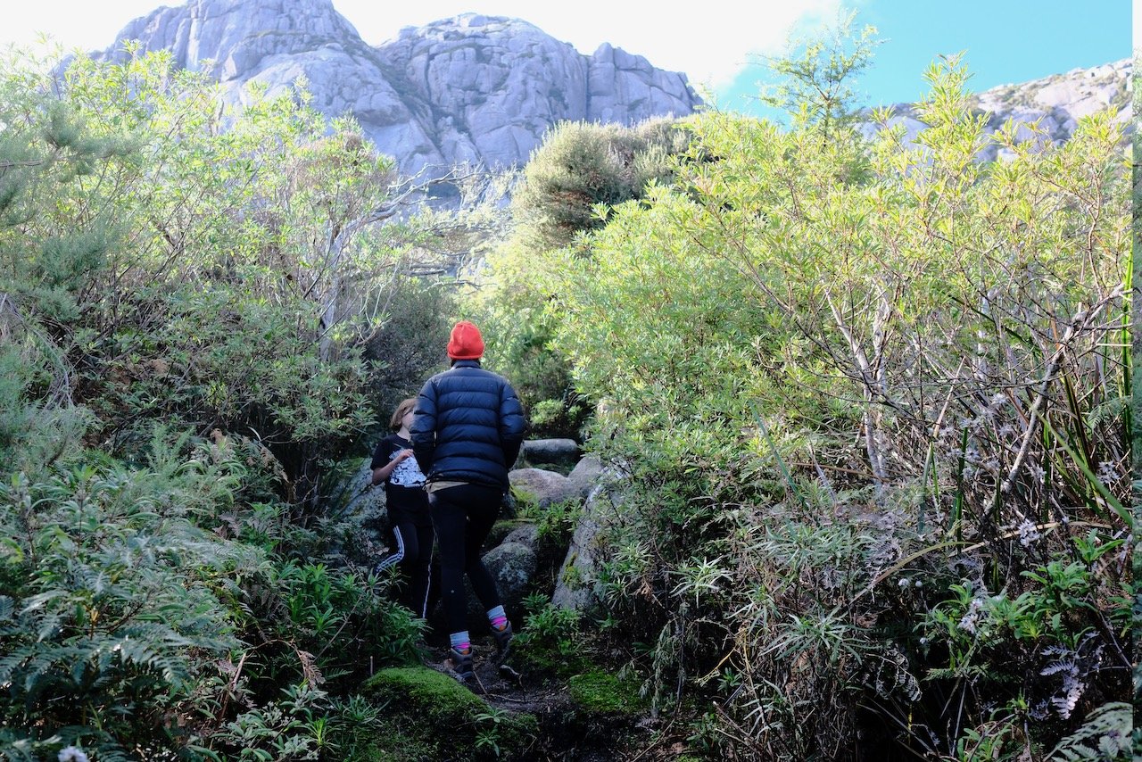 Flinders island activities