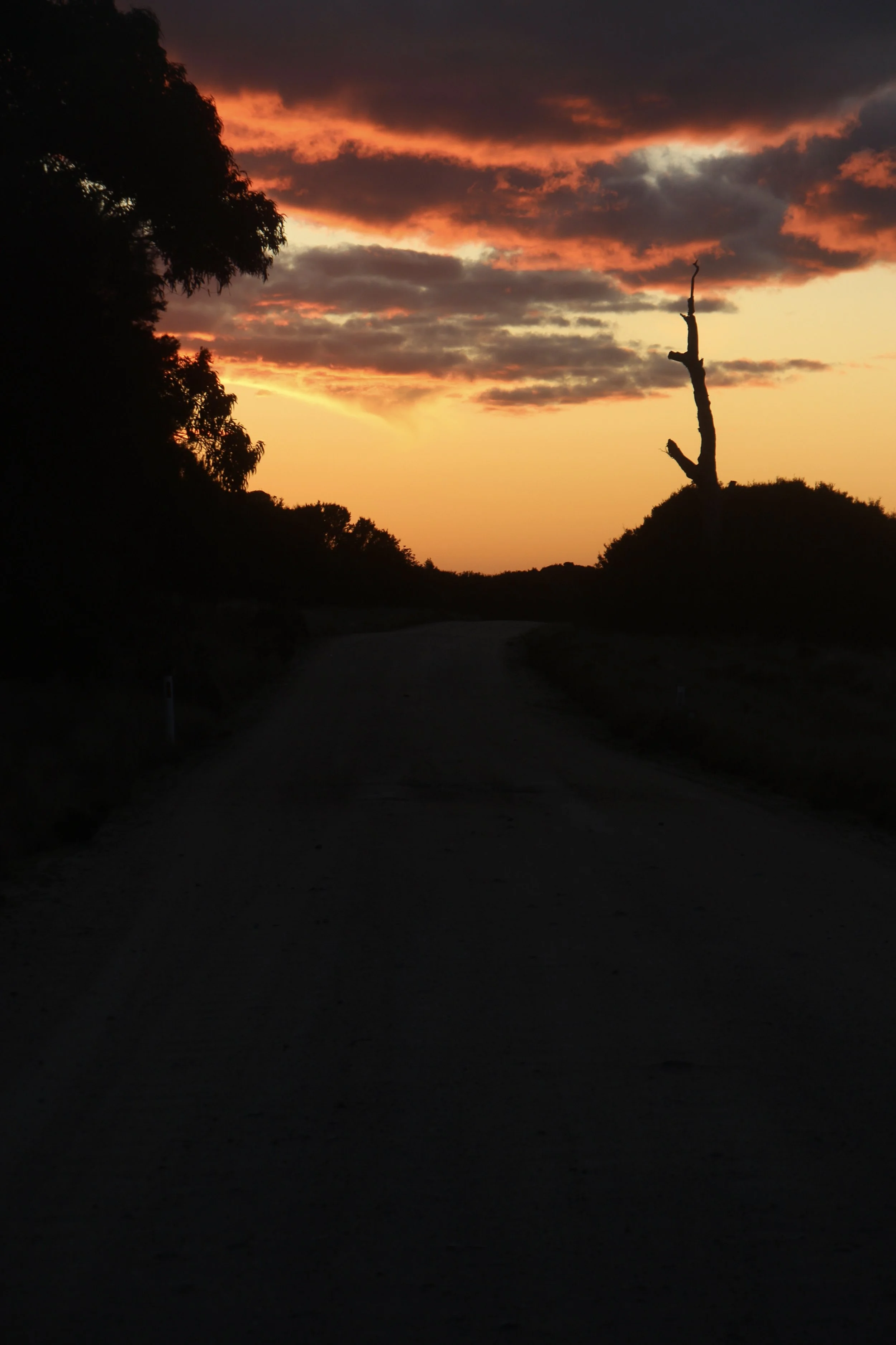 Life on flinders Island 