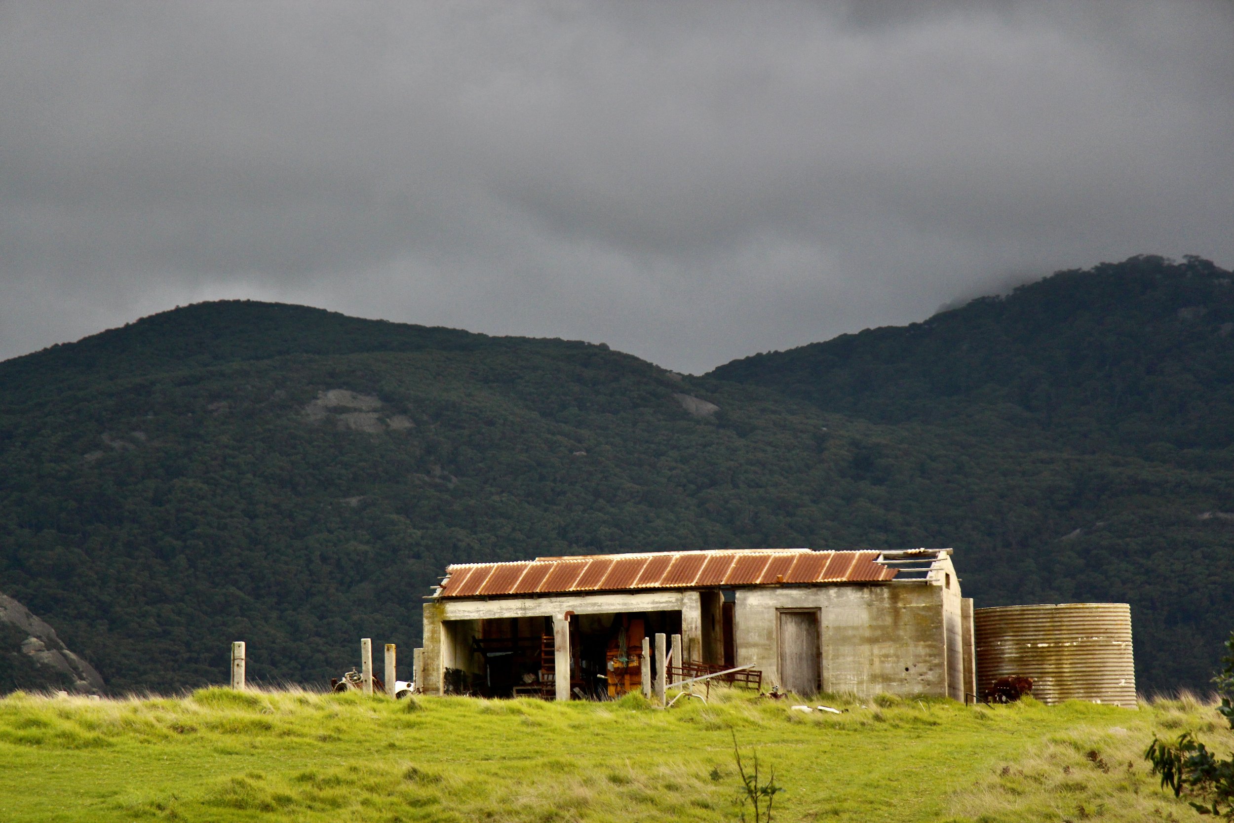 Flinders Island life 
