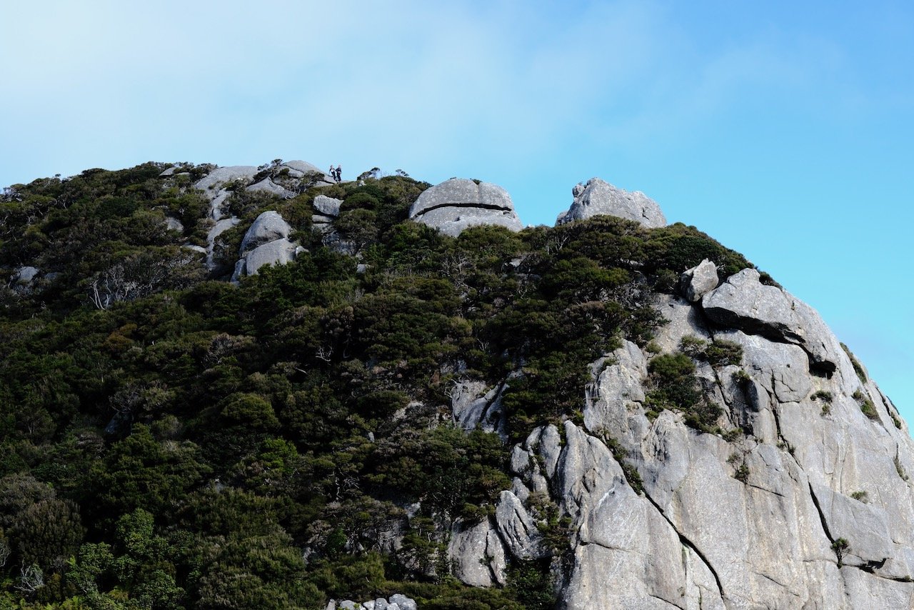 Flinders island activities