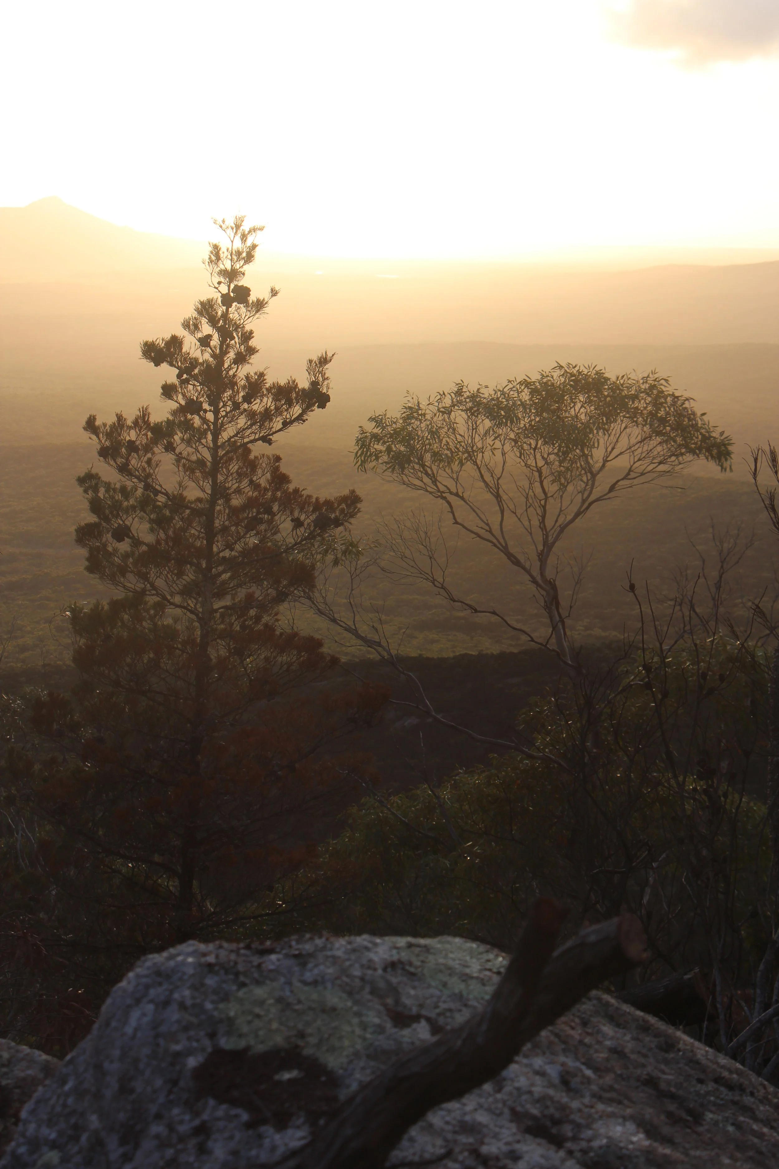 Flinders Island beaches