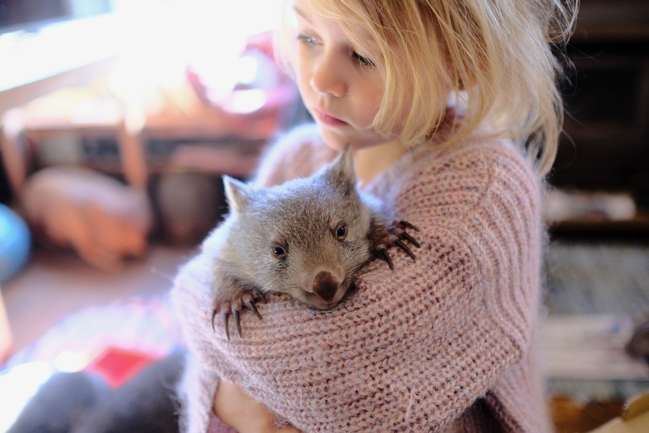 Flinders island activities