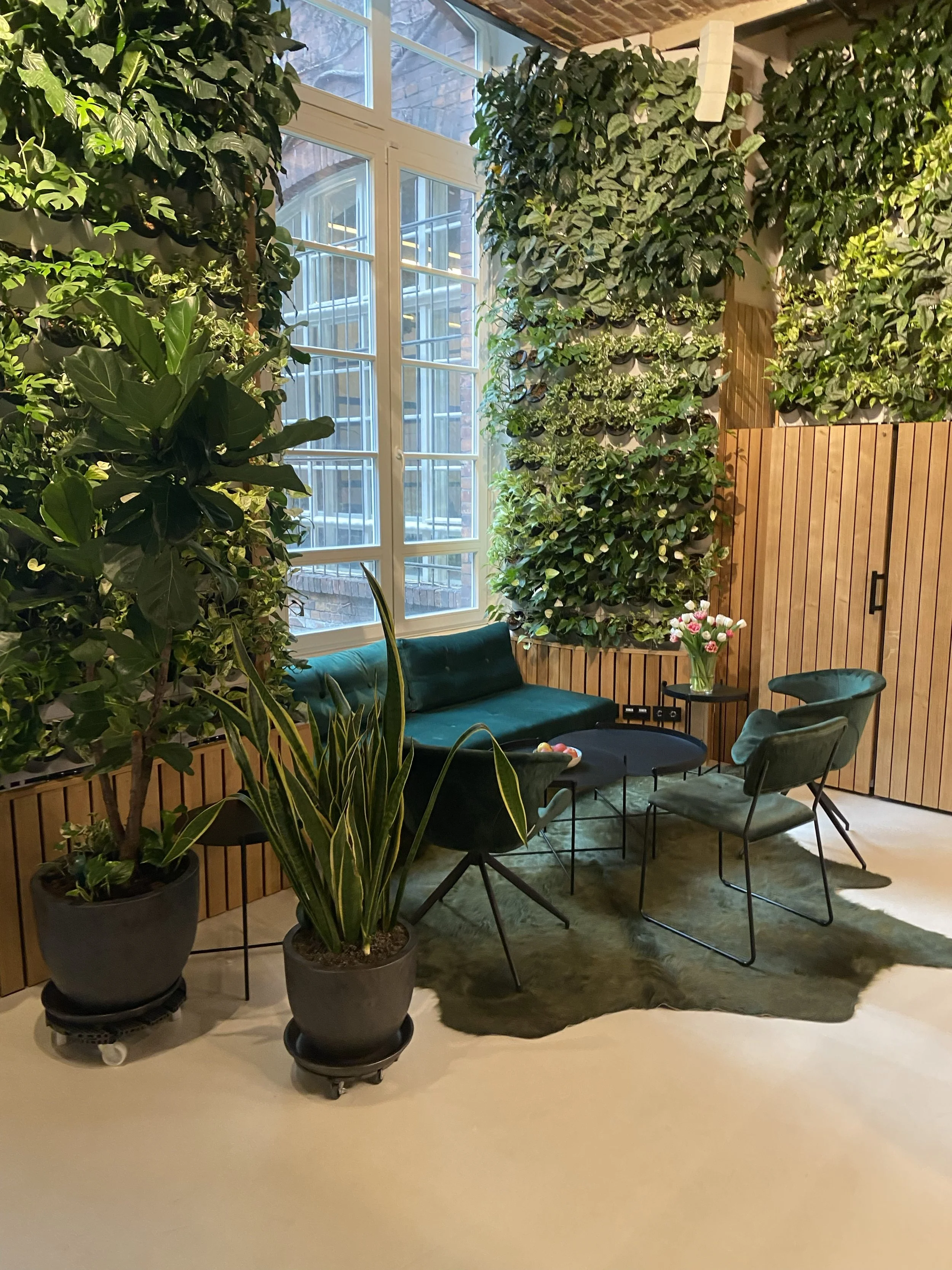 IMG_6501 - Kopie.jpeg