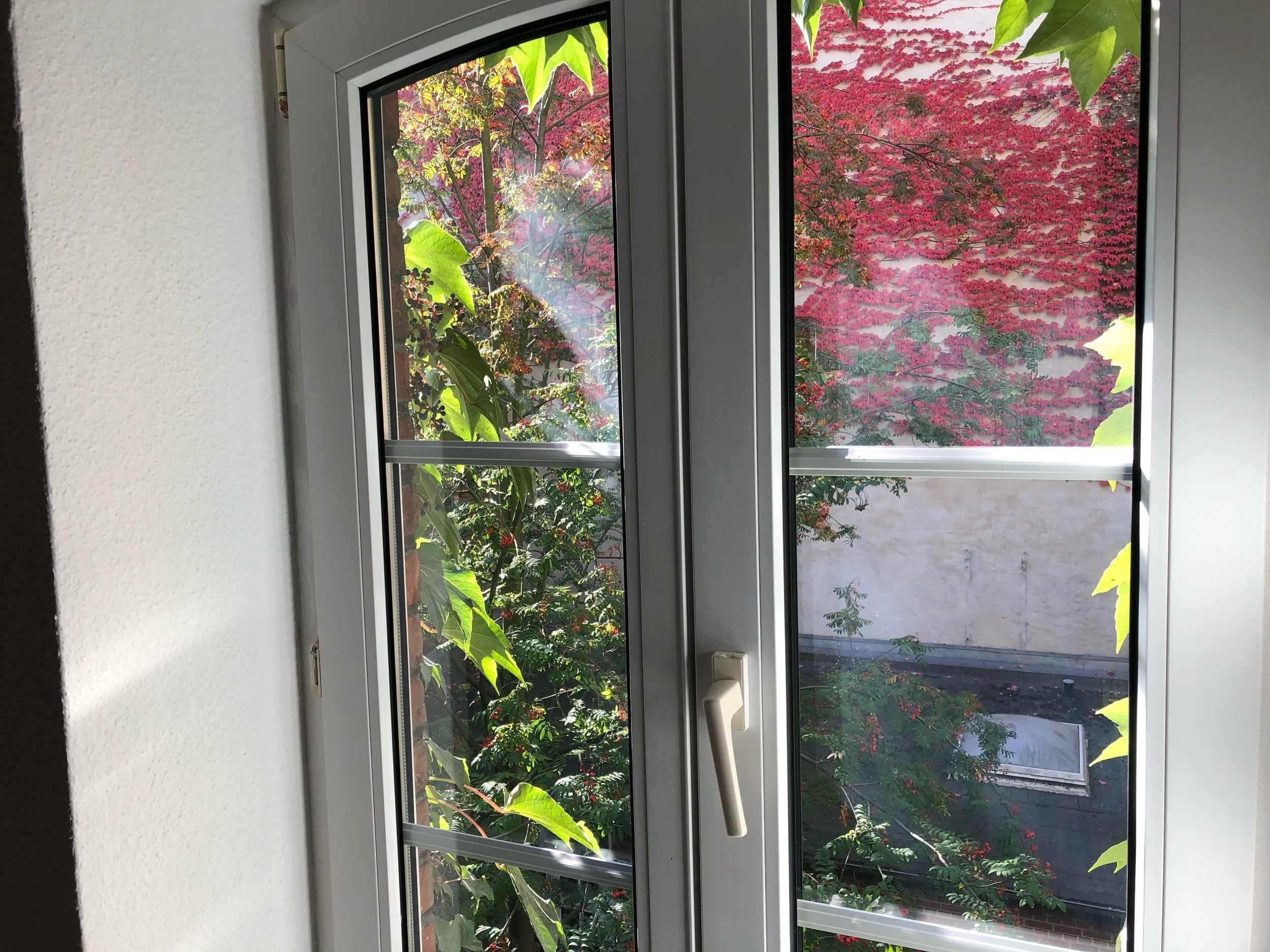 WhatsApp Image 2025-04-08 at 15.43.01.jpeg