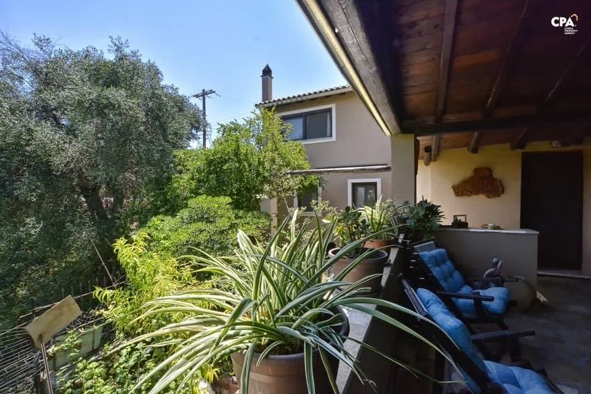 377b4489-6d62-4cbe-956b-e6b16ca19c1a 2.JPG