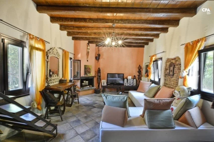 4f5db5b0-db37-4fe3-bf52-aacbb1b1488d 2.JPG