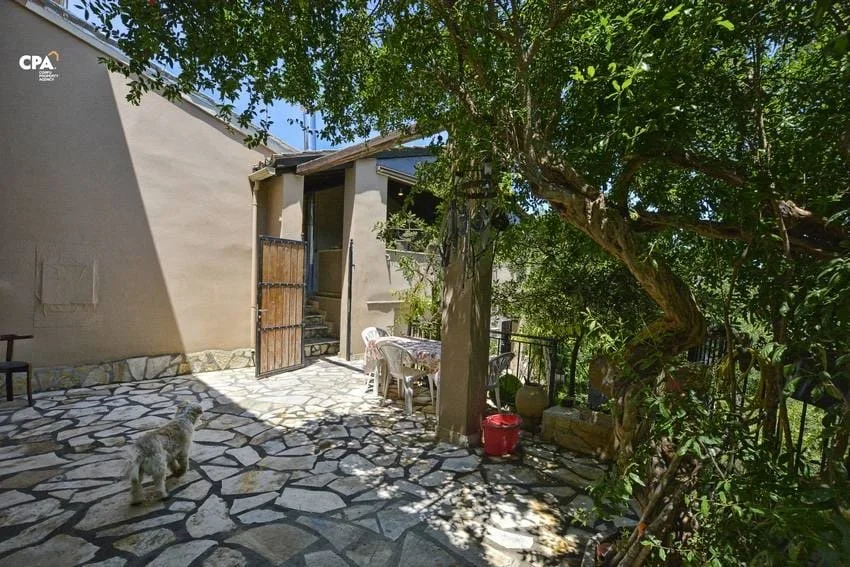 93ba9f3a-65a3-42d5-ad8c-9e5c92aff058 2.JPG