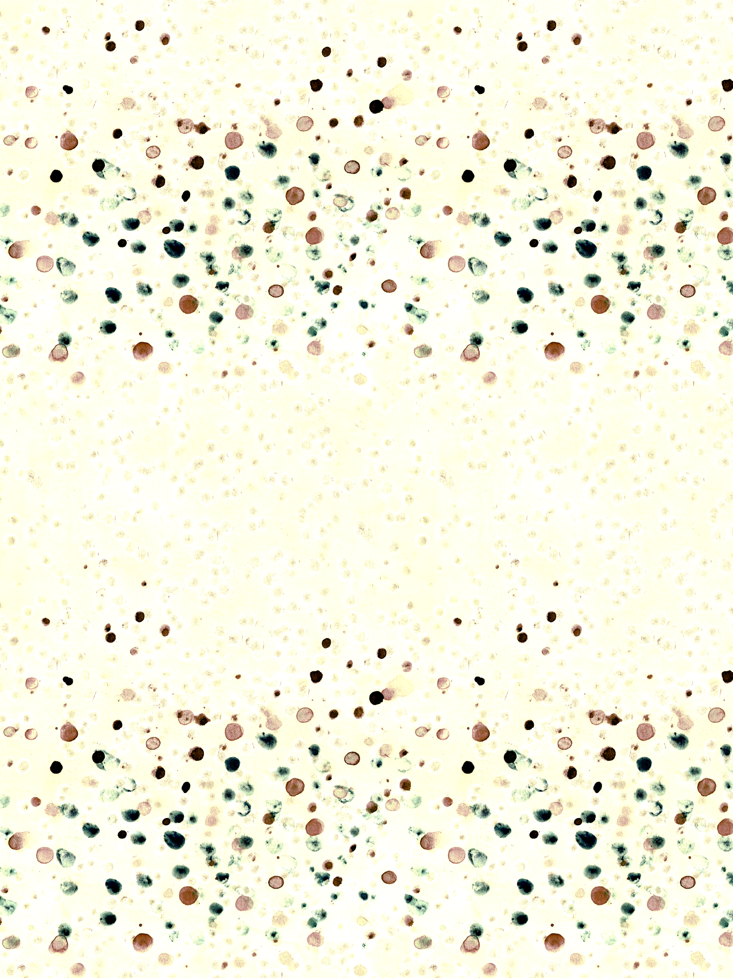 Untitled-2.png