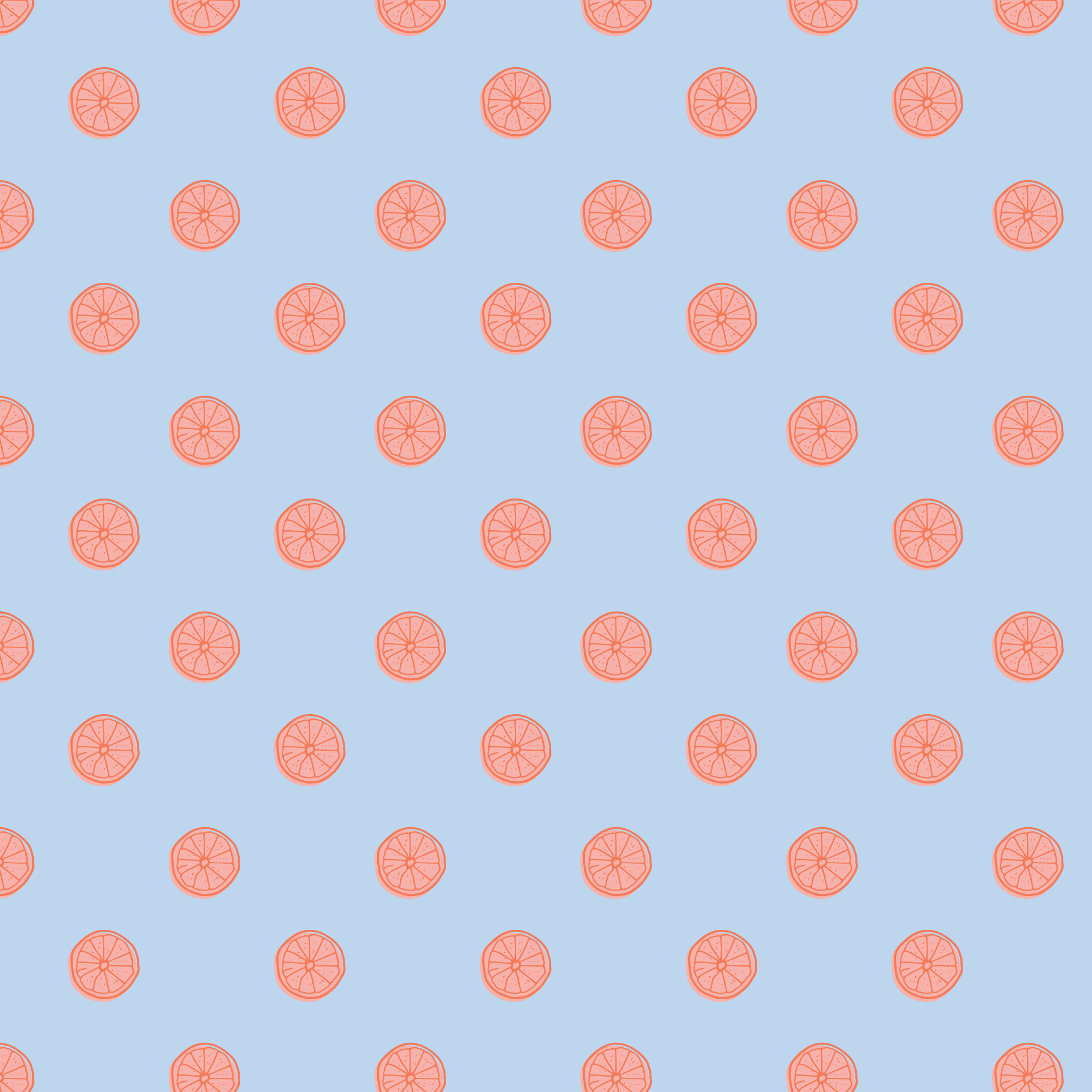 Orange Slice ~ Blender ~ Picnic