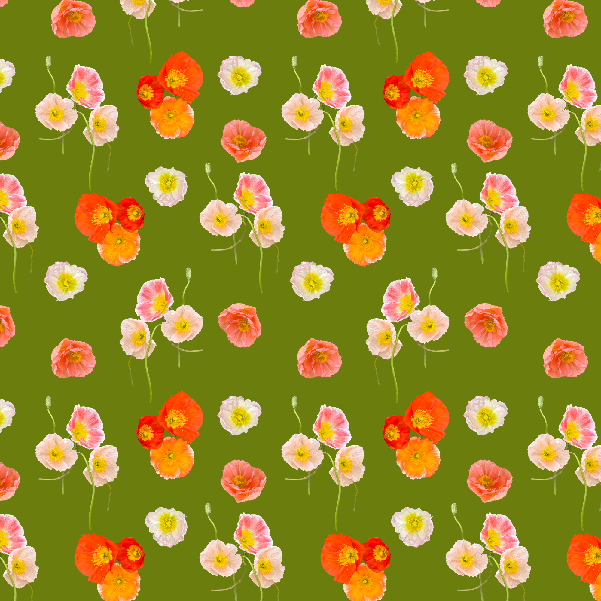 poppys.png