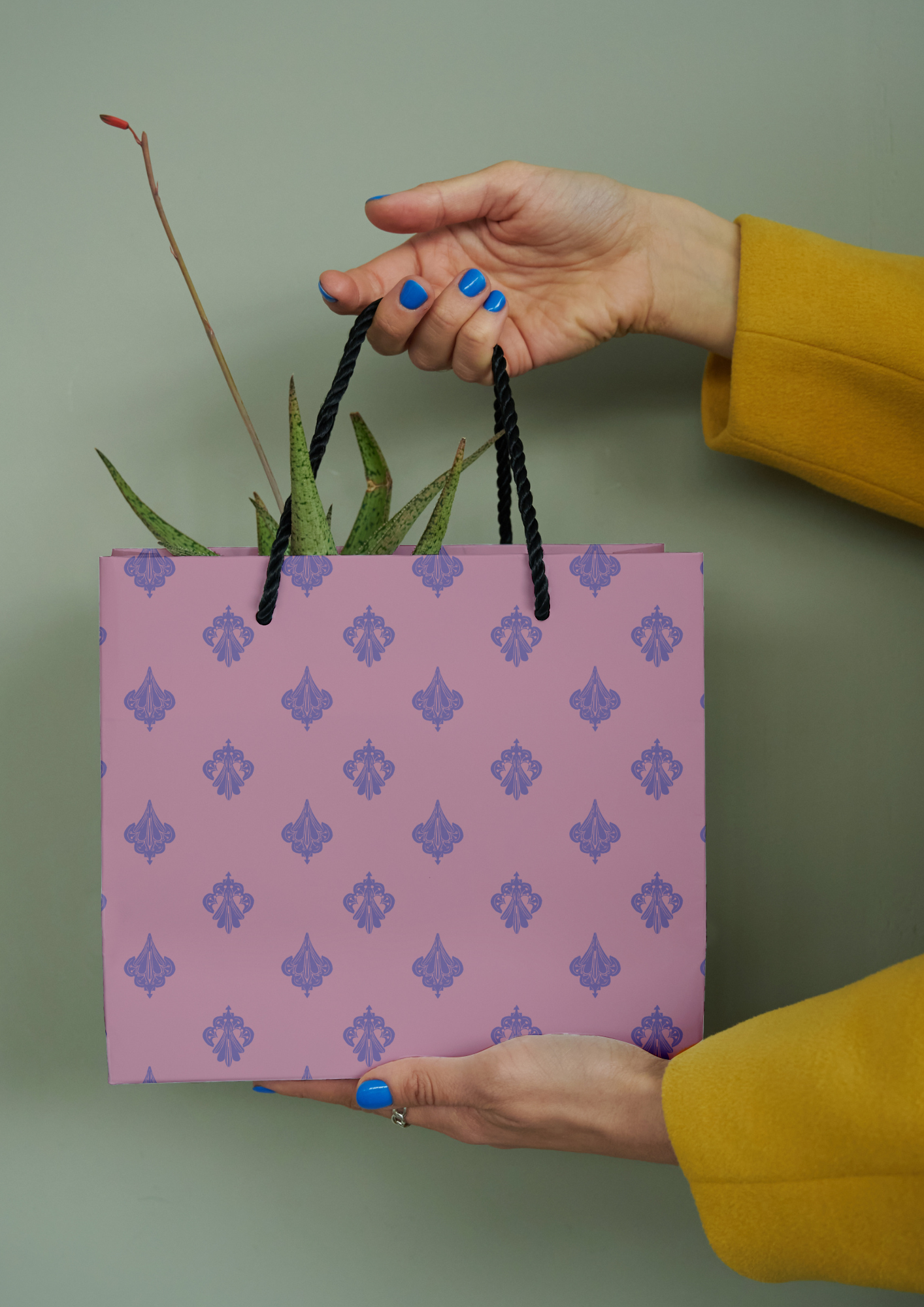 Bagwithpladfdfnt.png