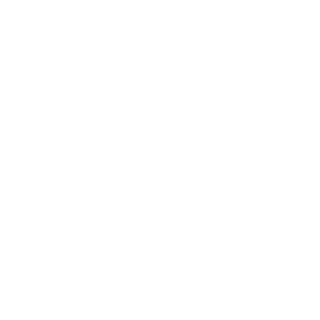 oris_charcoal_chicken.png
