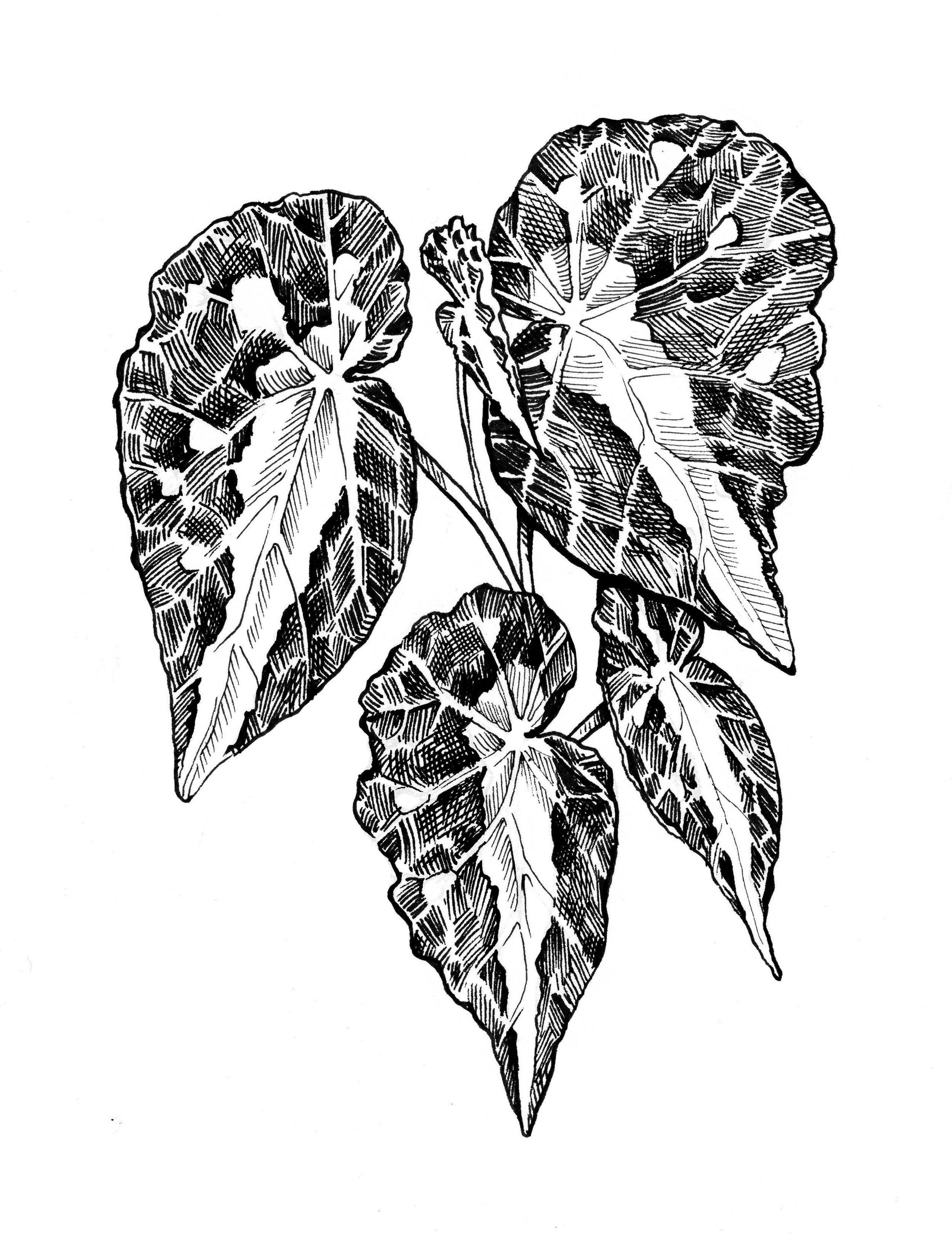 Two people wearing black hoodies with white floral and leaf designs and the word "HABIT" printed on the front.