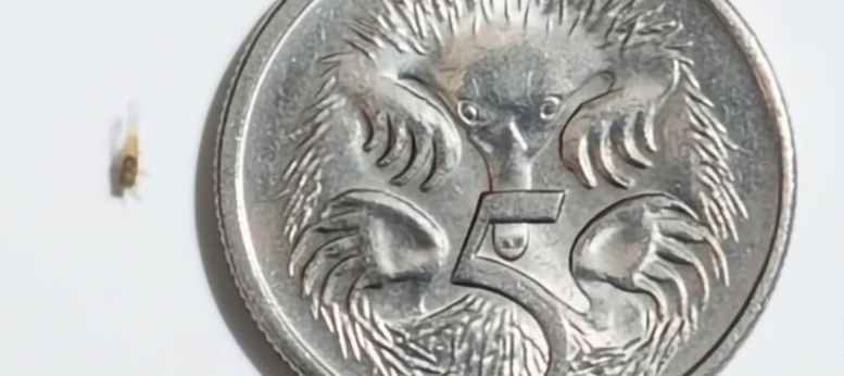 Screenshot 2026-02-09 21.07.16.png