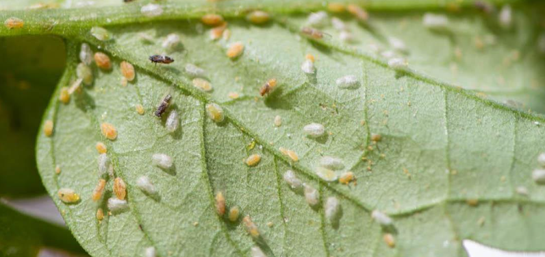 Screenshot 2026-02-09 21.07.02.png