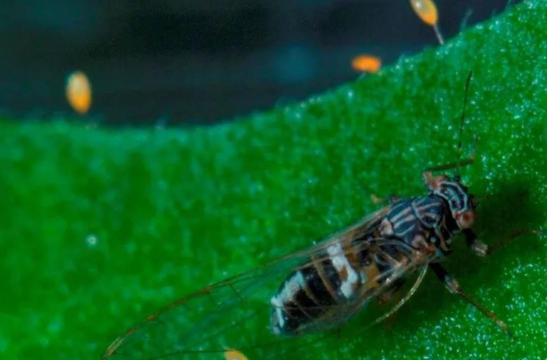 Screenshot 2026-02-09 21.06.48.png