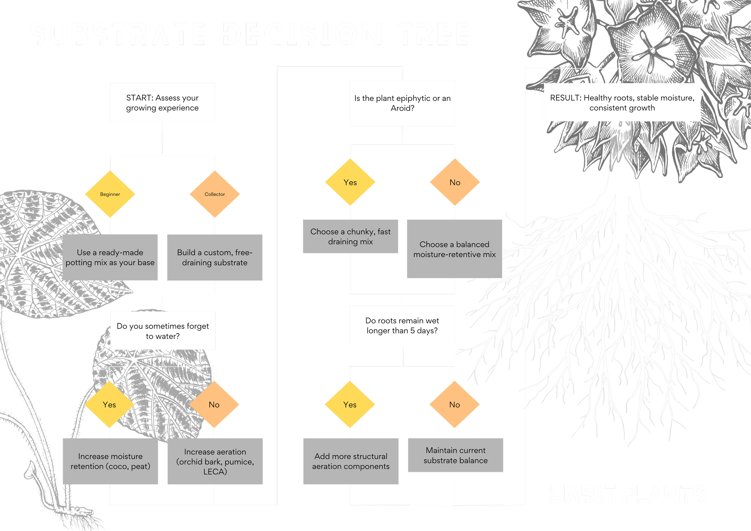 Beginner vs Collector Substrate Strategy — HABIT Plants