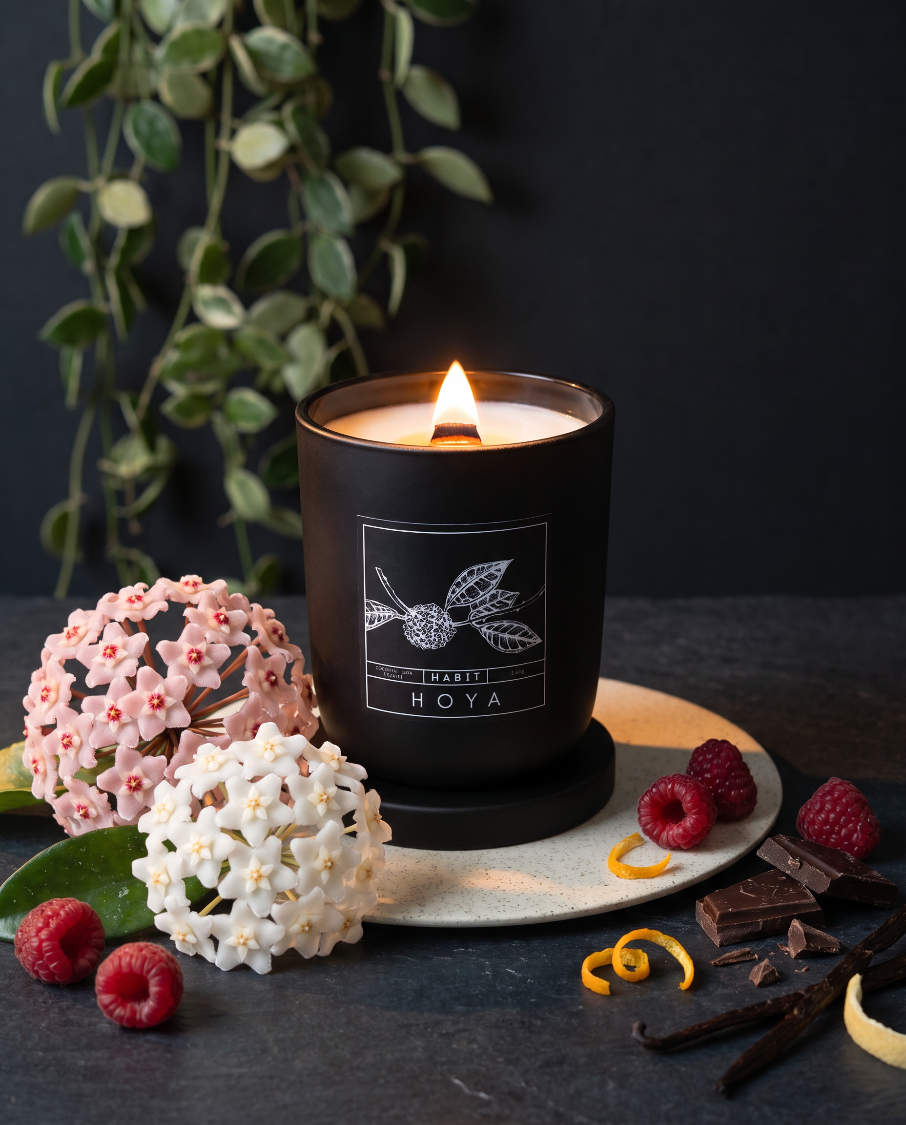 H A B I T  Hoya Candle