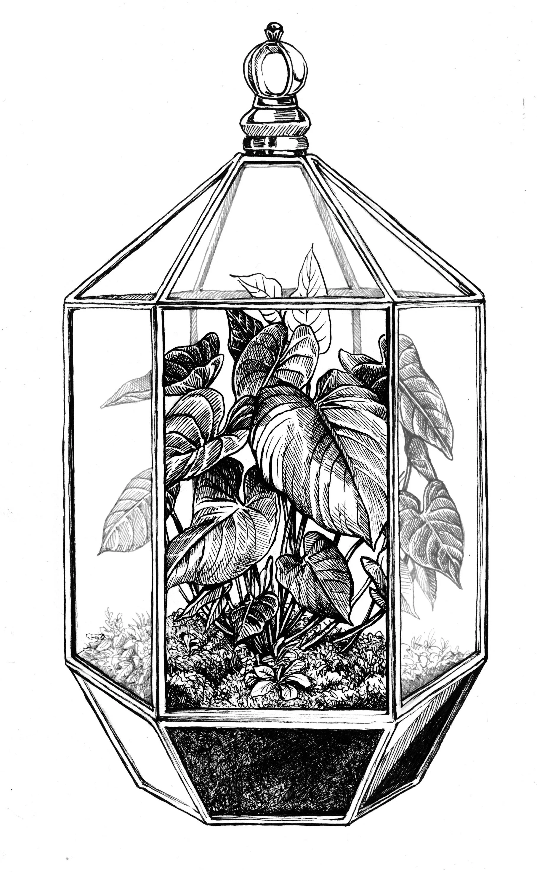 Black and white line drawing of two leaves with intricate veined patterns and holes.