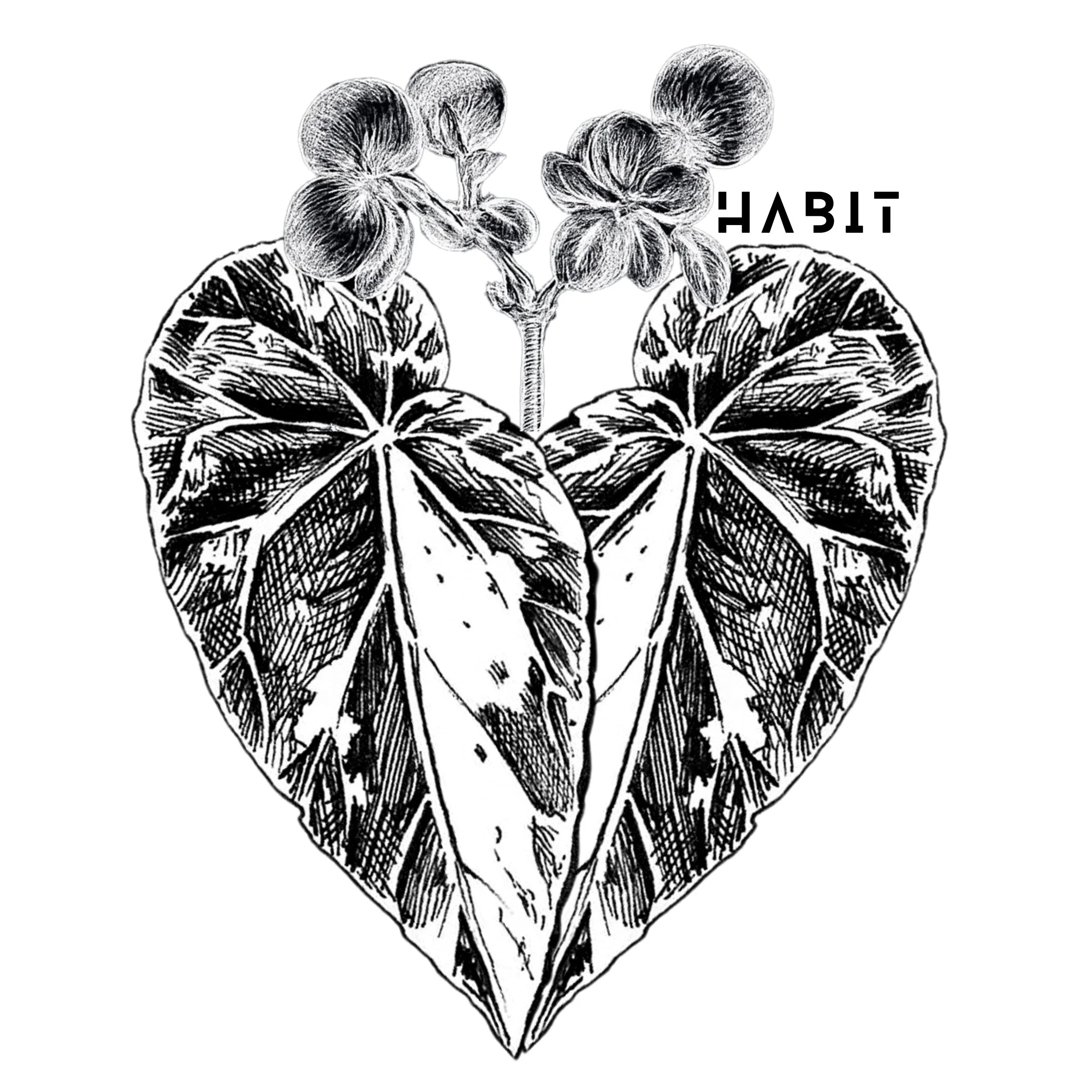 begonia leaves forming heart shape
