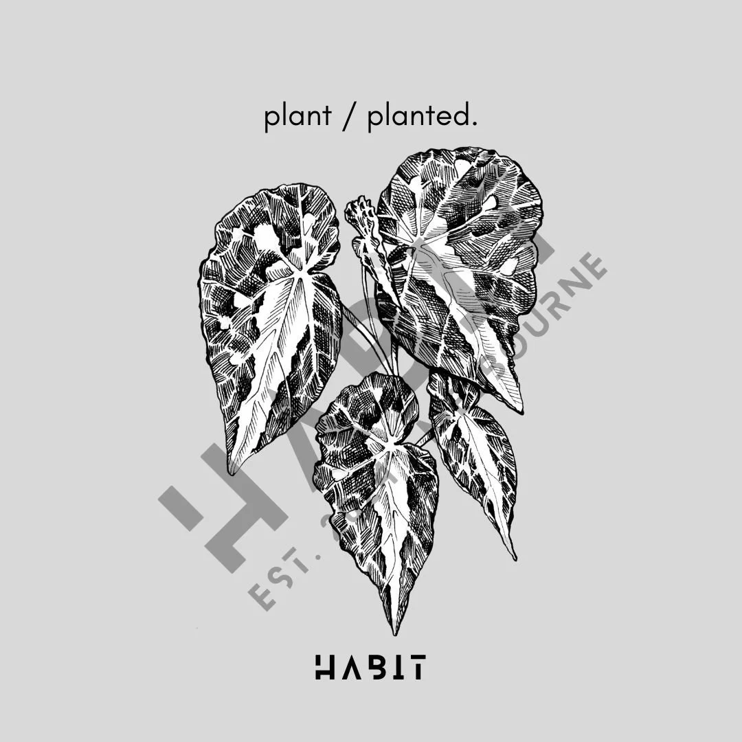 2026 Tshirt graphic watermarks (1).jpg