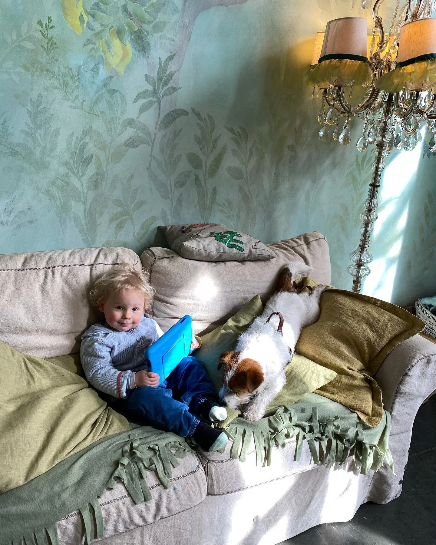 Like butter wouldn’t melt 🧈 I just love his fluffy mane 🐣 🦁