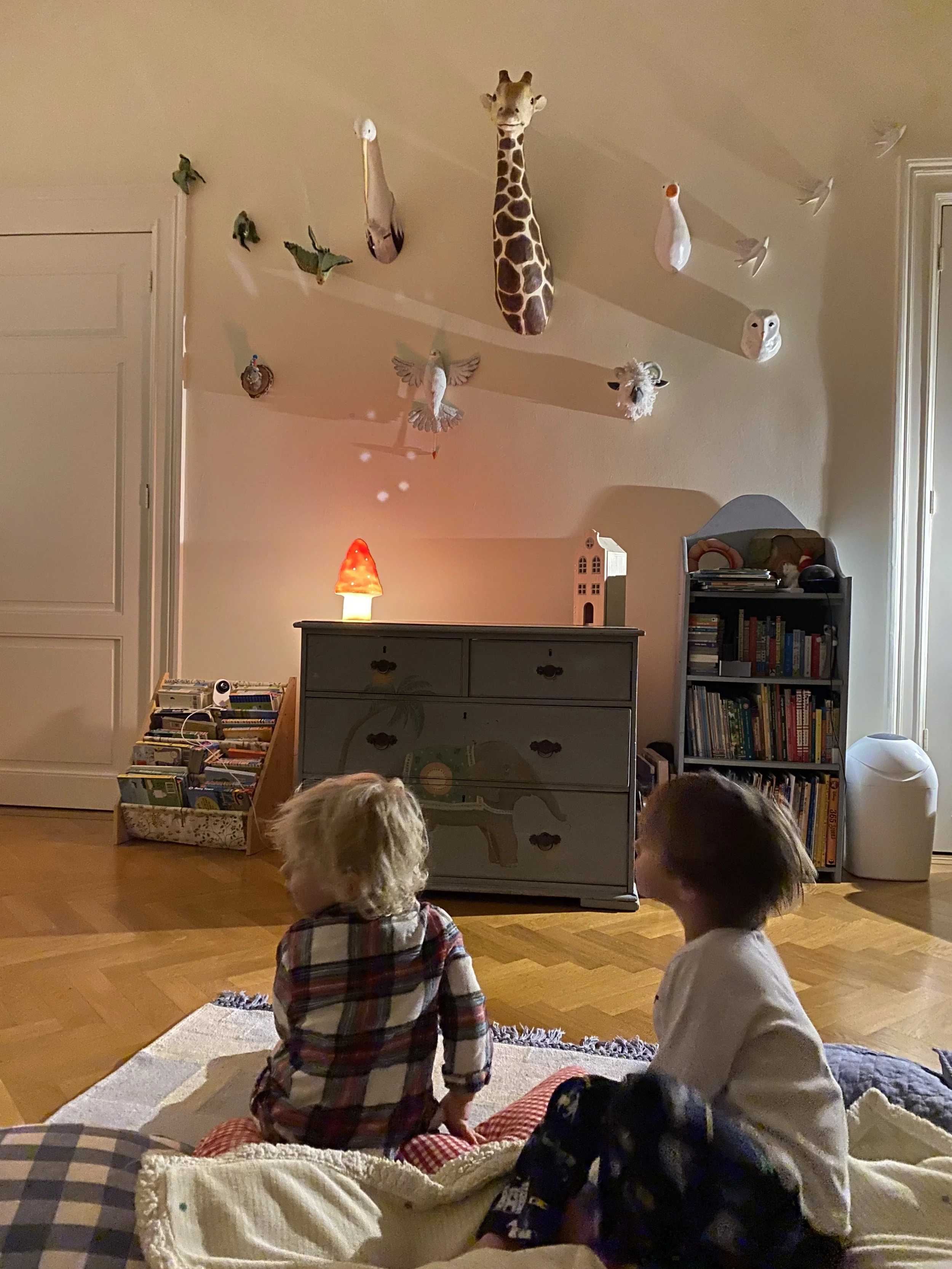 At home puppet shows