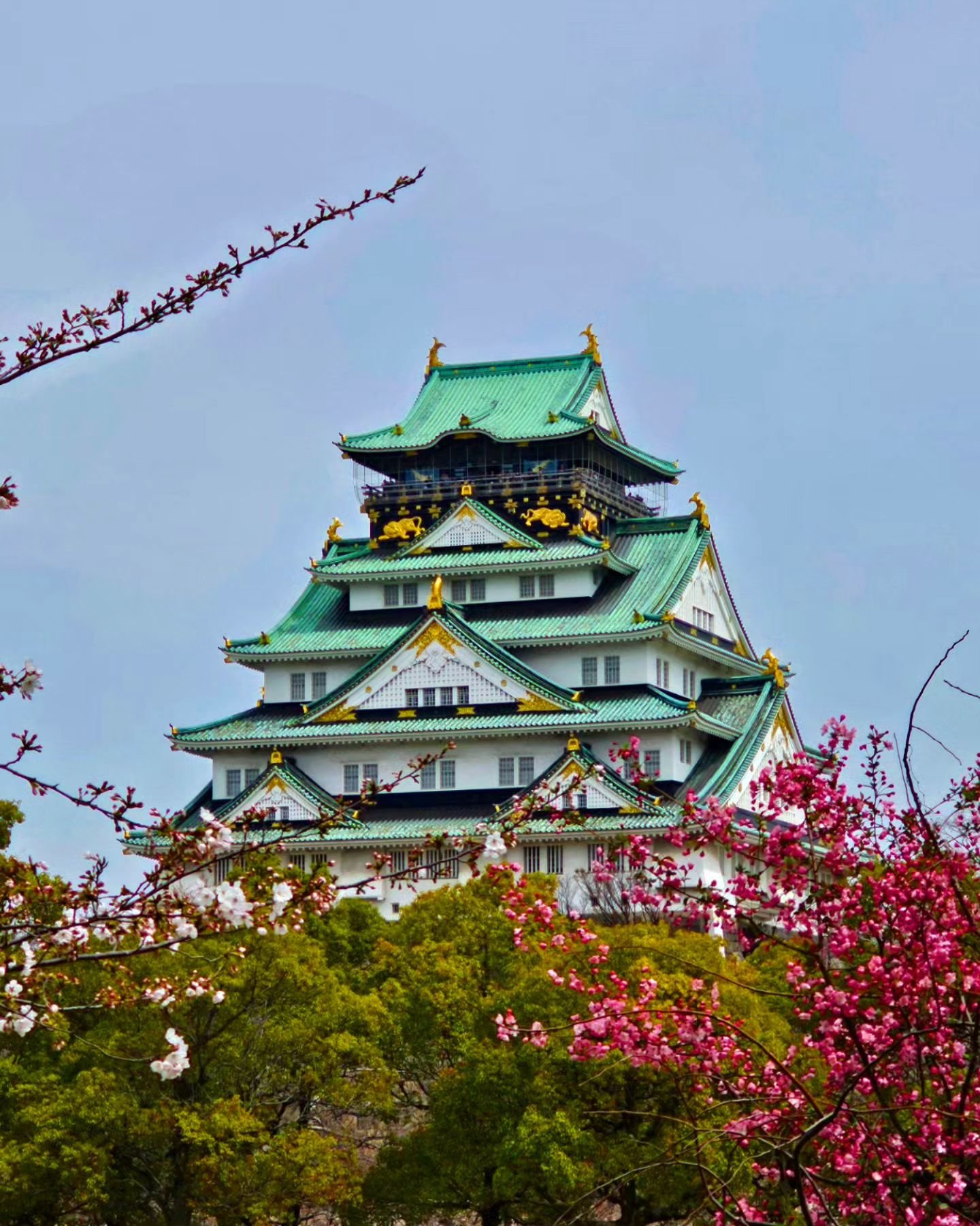 The most famous landmark in Japan - Osaka Castle 🏰🇯🇵
Would you go visit her?! Let me know below ⬇️