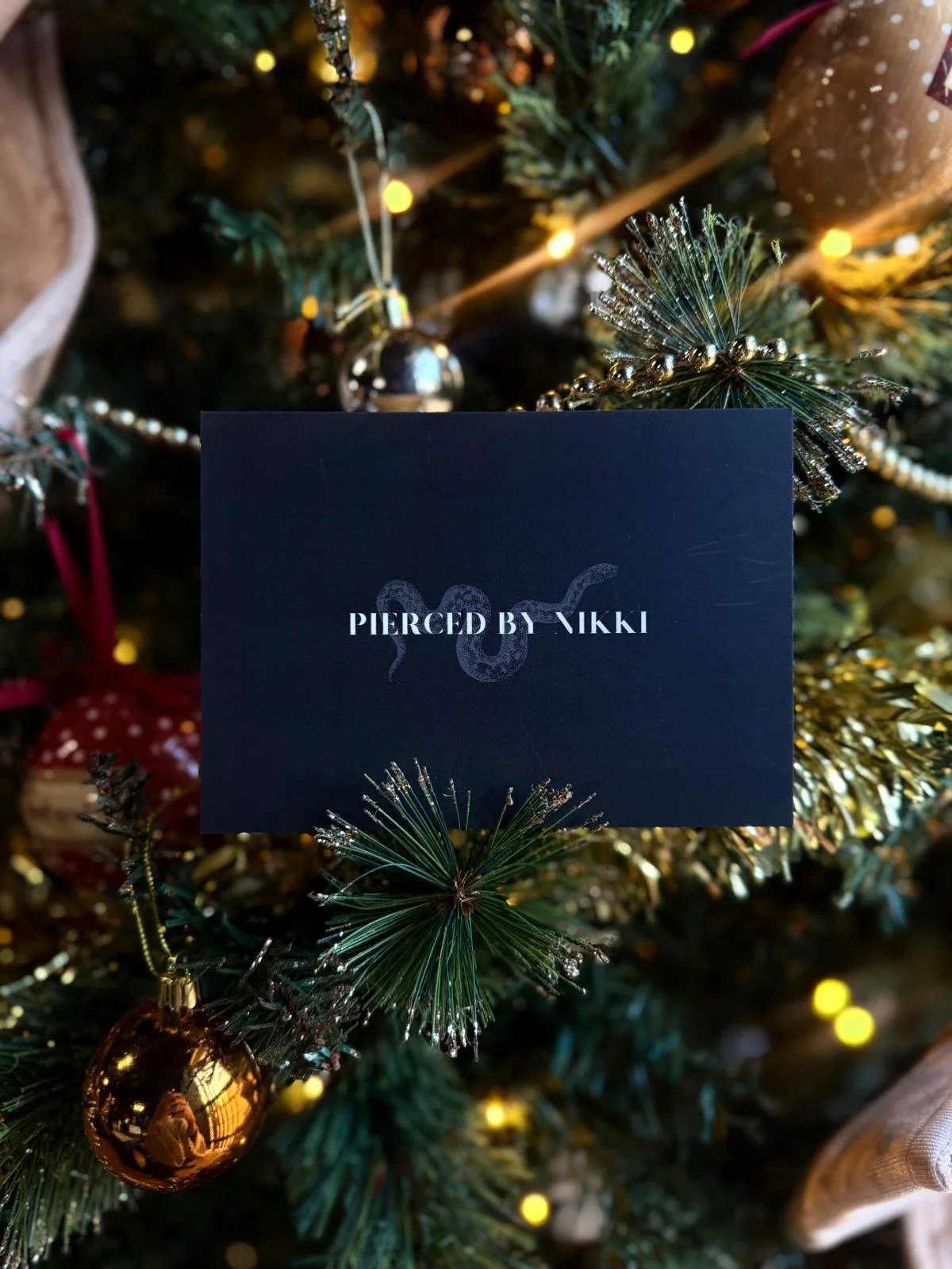 WhatsApp Image 2025-12-12 at 10.31.37 (2).jpeg