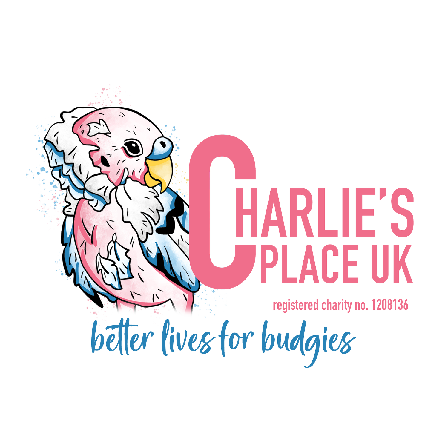 Charlie's Place UK Budgies (registered charity 1208136)