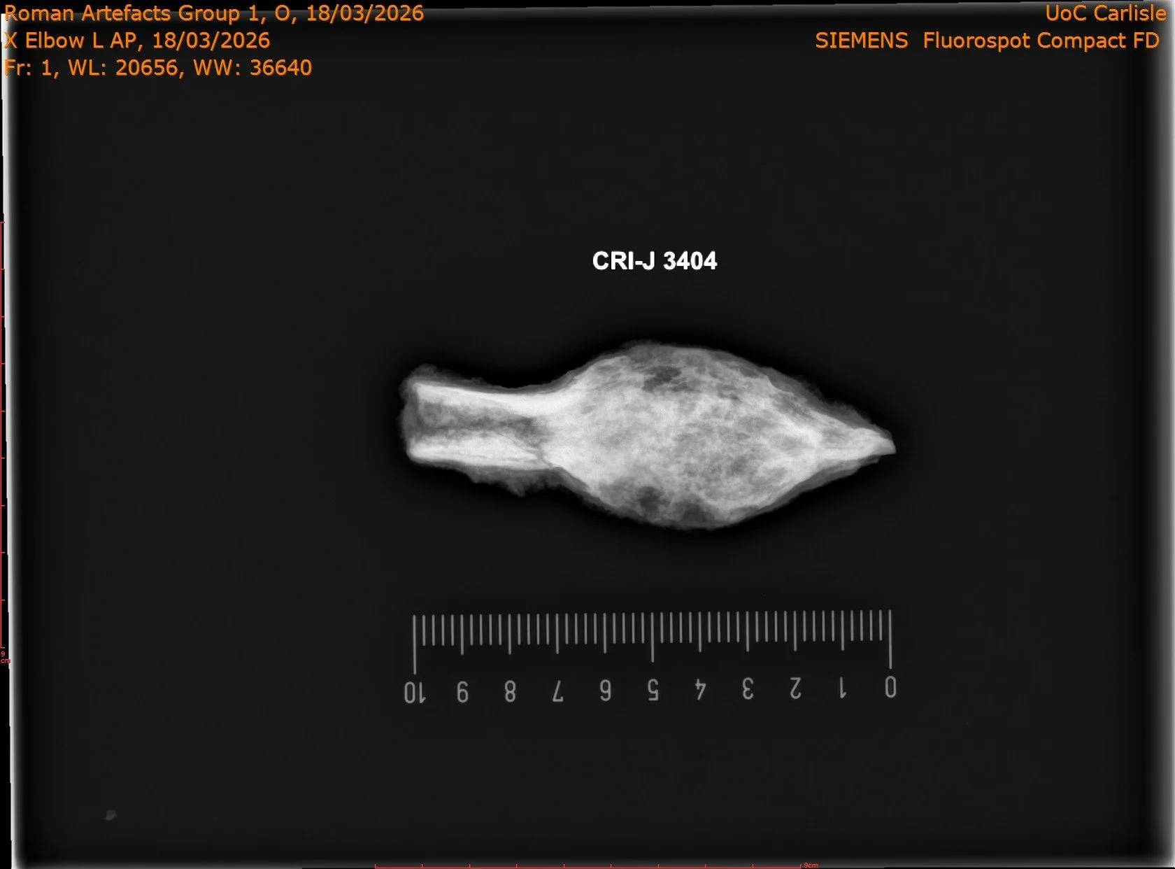 Arrowhead.jpeg