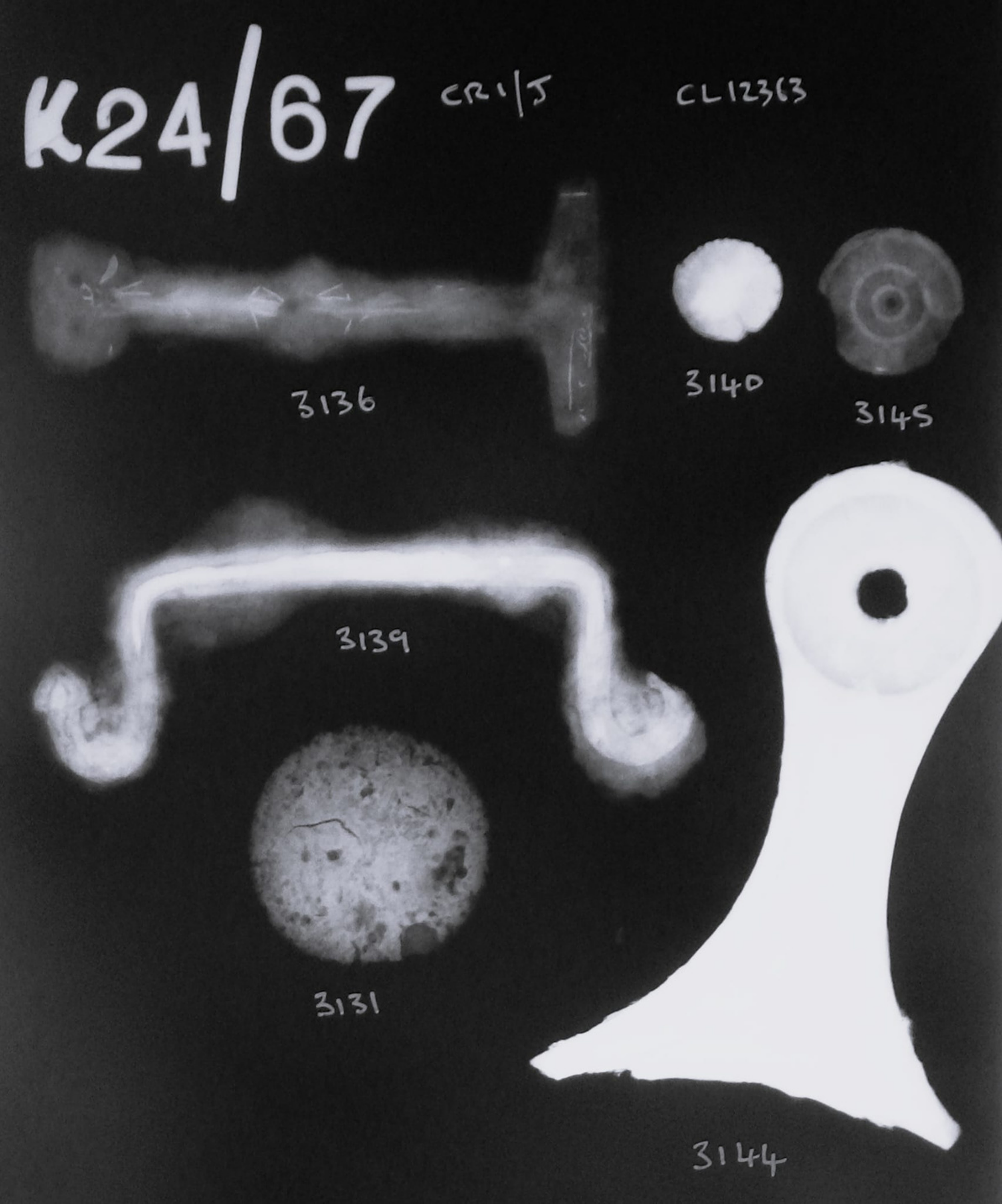 xray 2025.png