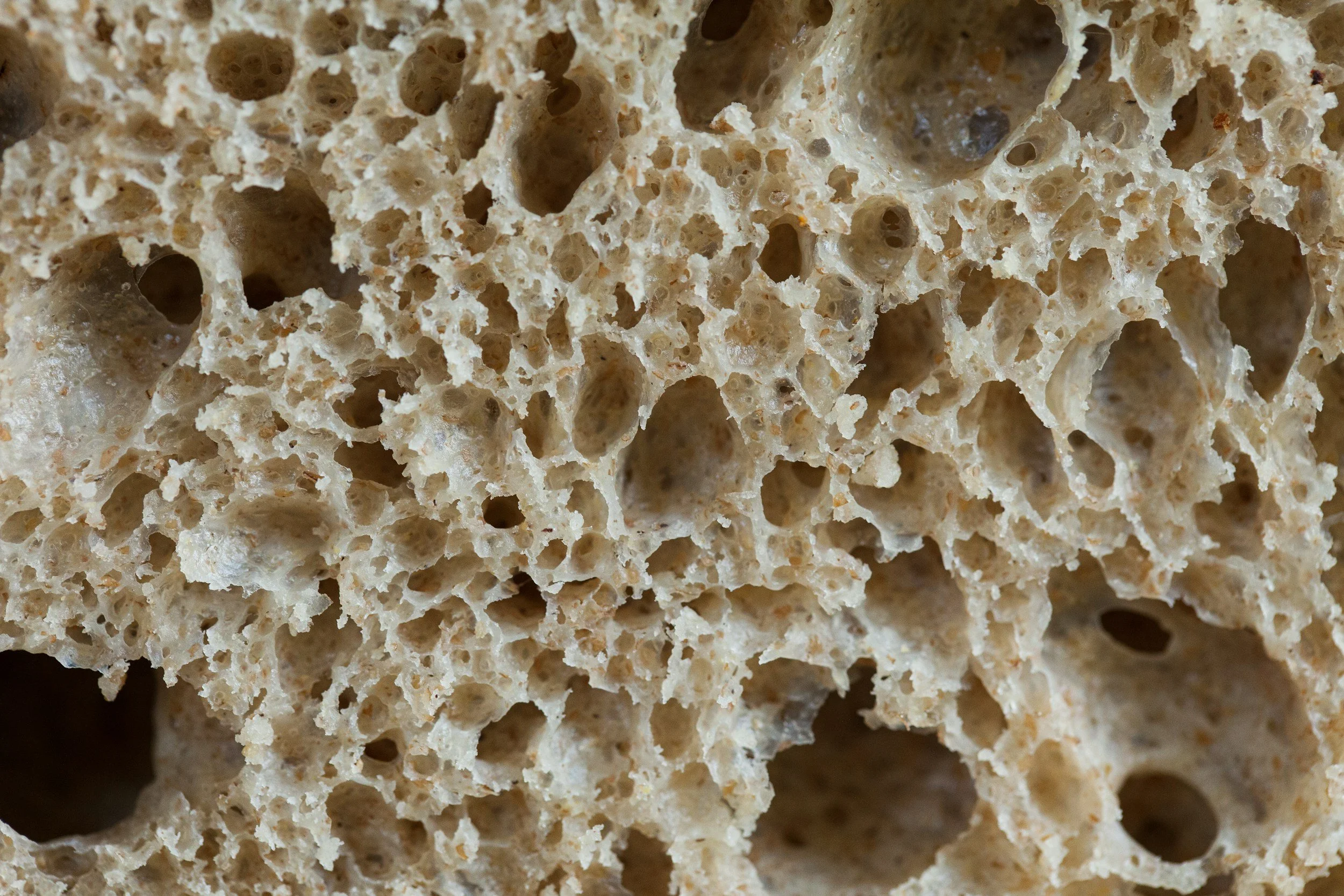 Introducing My Rustic Triangle Bread