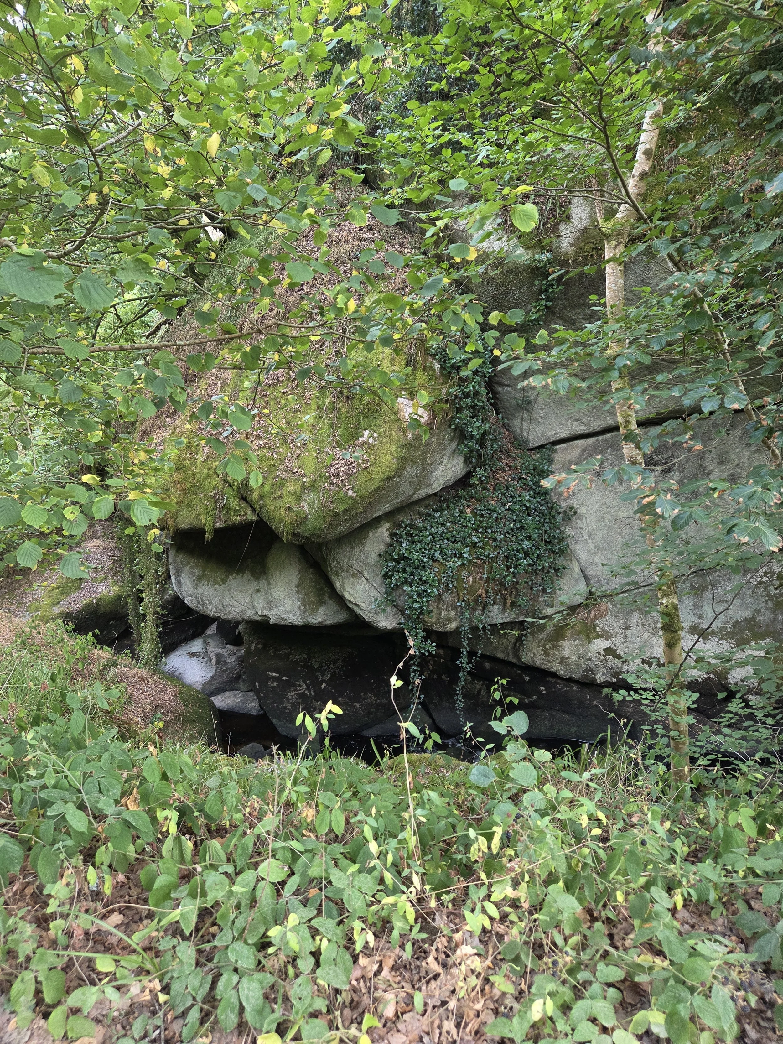 20260804_171333.jpg